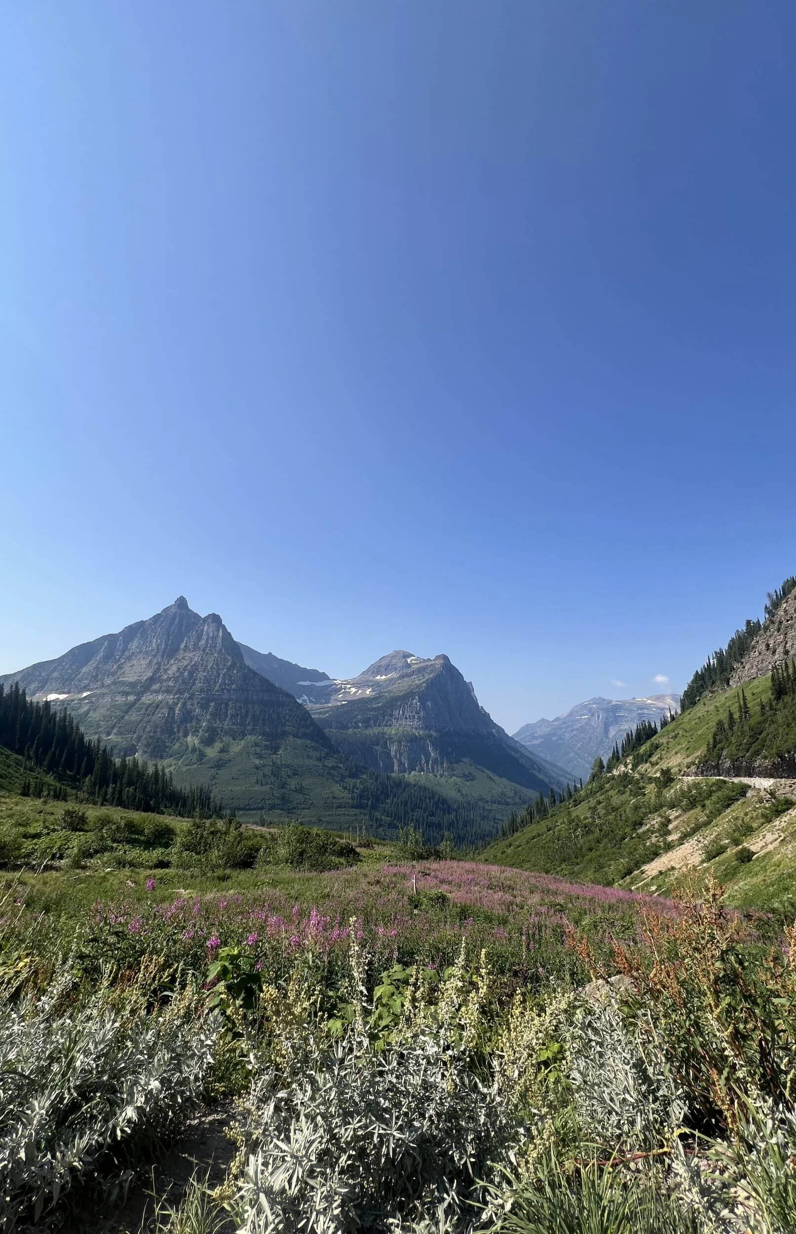 AI marketing strategy expert