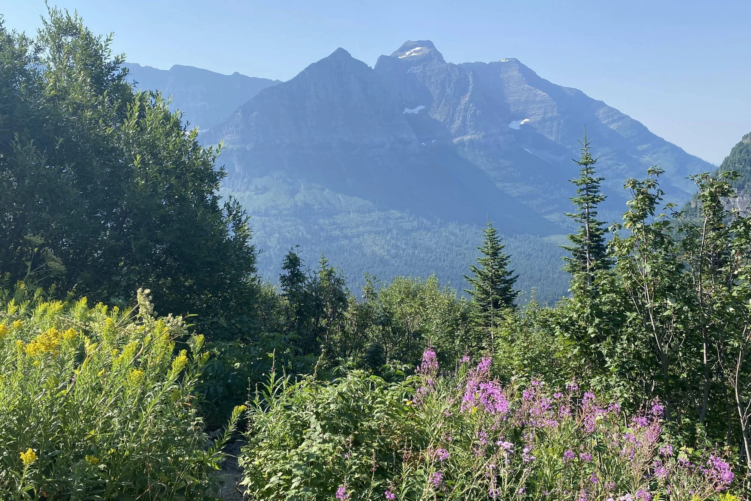 fractional marketing strategist for agencies AI first