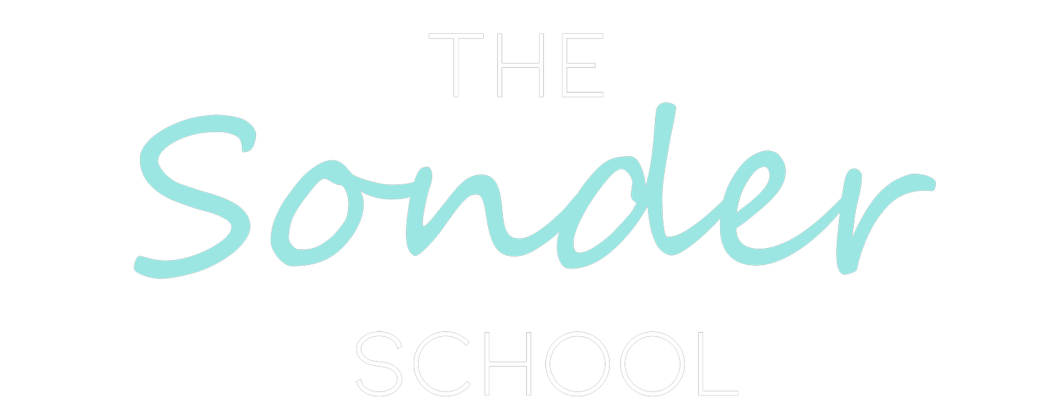thesonderschool