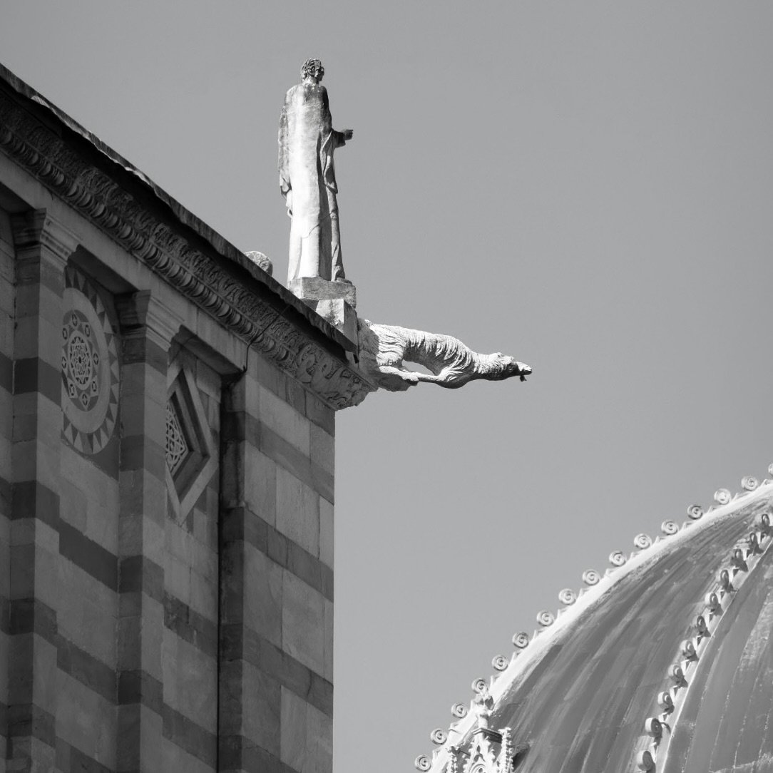 Gothic grace meets Italian skies &mdash; marble guardians watch over centuries of faith and art. Captured in Pisa, Italy, this timeless architecture whispers stories of devotion, craftsmanship, and light. 
.
.
.
.
#Italy #Architecture #TravelPhotogra