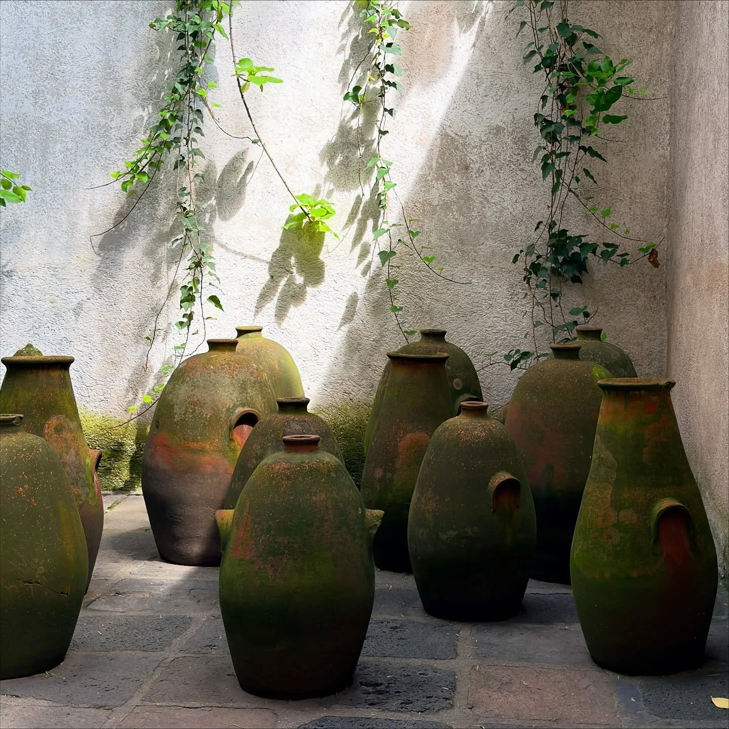Soft sunlight brushes ancient clay vessels, their mossy skins breathing history. Vines trace whispers on weathered walls&mdash;silence and geometry intertwine, embodying Luis Barrag&aacute;n&rsquo;s serene dialogue between nature, light, and space.
.