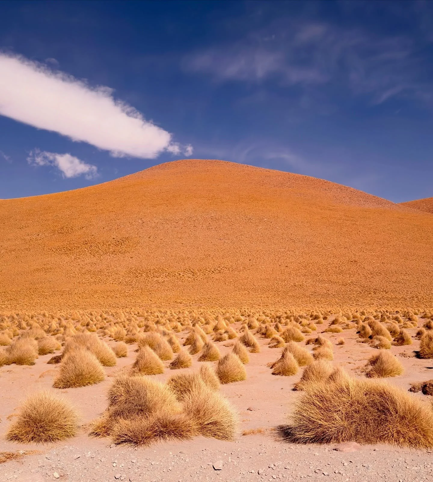 Driving through Potos&iacute;, Bolivia, the land opens into quiet gold and endless sky. Tufts of grass cling to dust, hills breathe slowly, and the road feels small. Movement fades, replaced by awe, altitude, and the steady hum of travel onward.
#pot