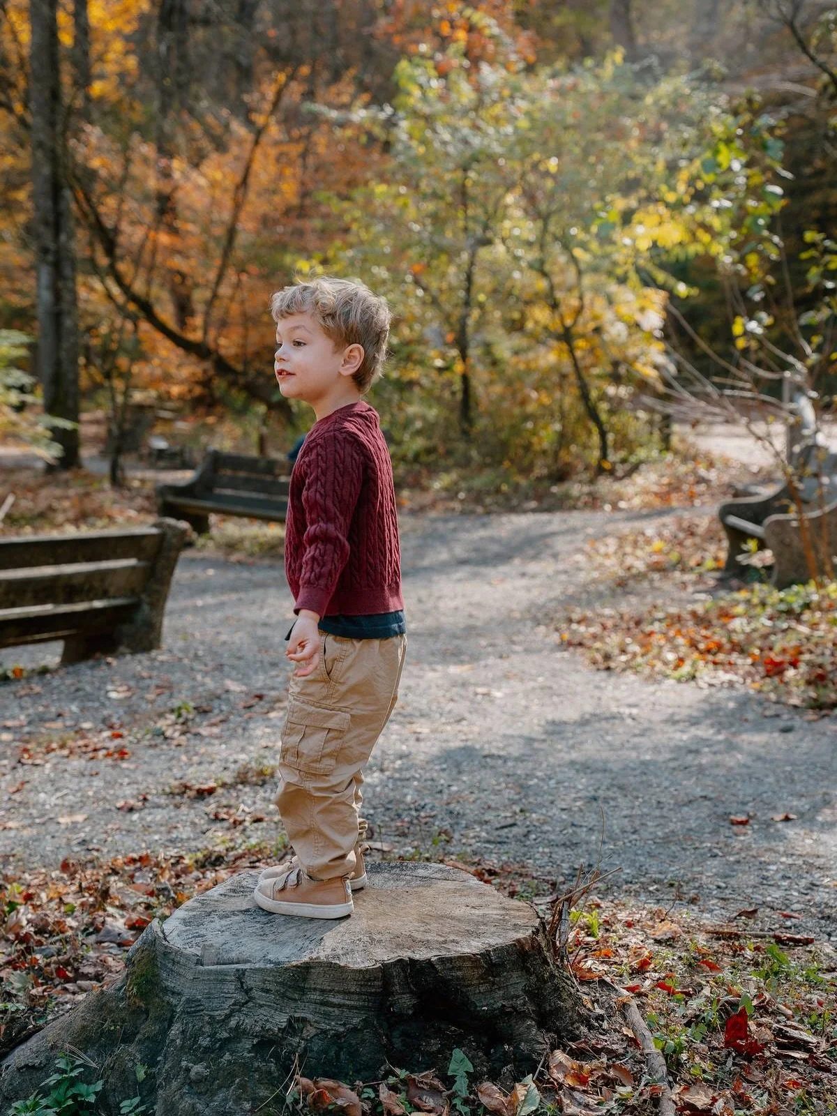 As many of you have seen, I recently launched the schedule for fall mini sessions, and the idea stemmed from my amazing photo session last week with Ryan and his family who I had the pleasure of meeting and capturing for the first time this spring! 
