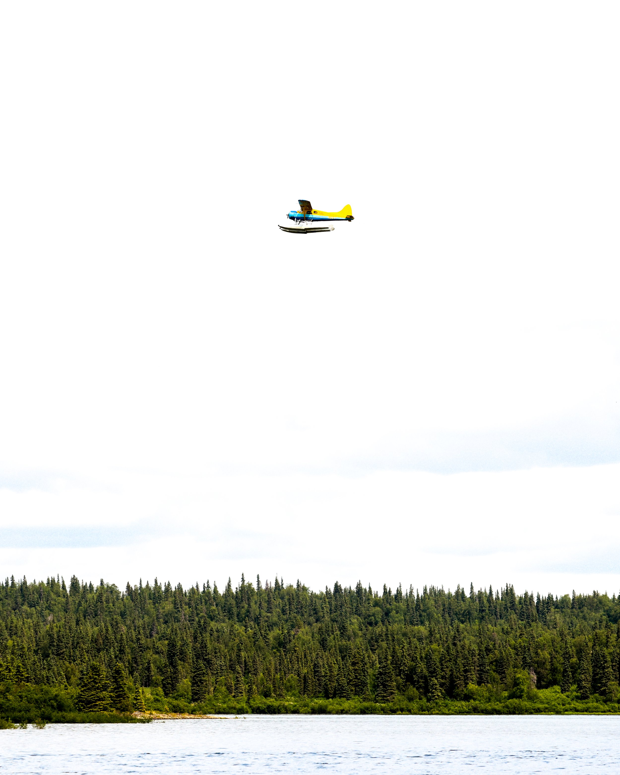 BY1A3282-2.jpg