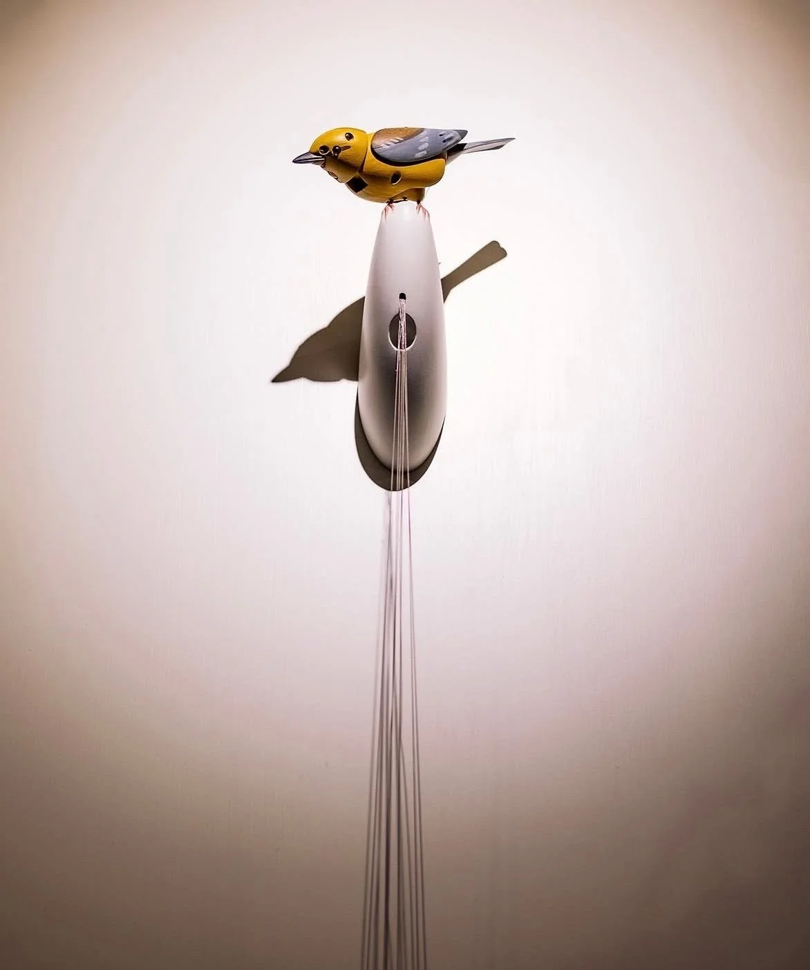 Who Gets to Be Messy on the Internet? Kelly Clarkson vs. a $15,000 Bird