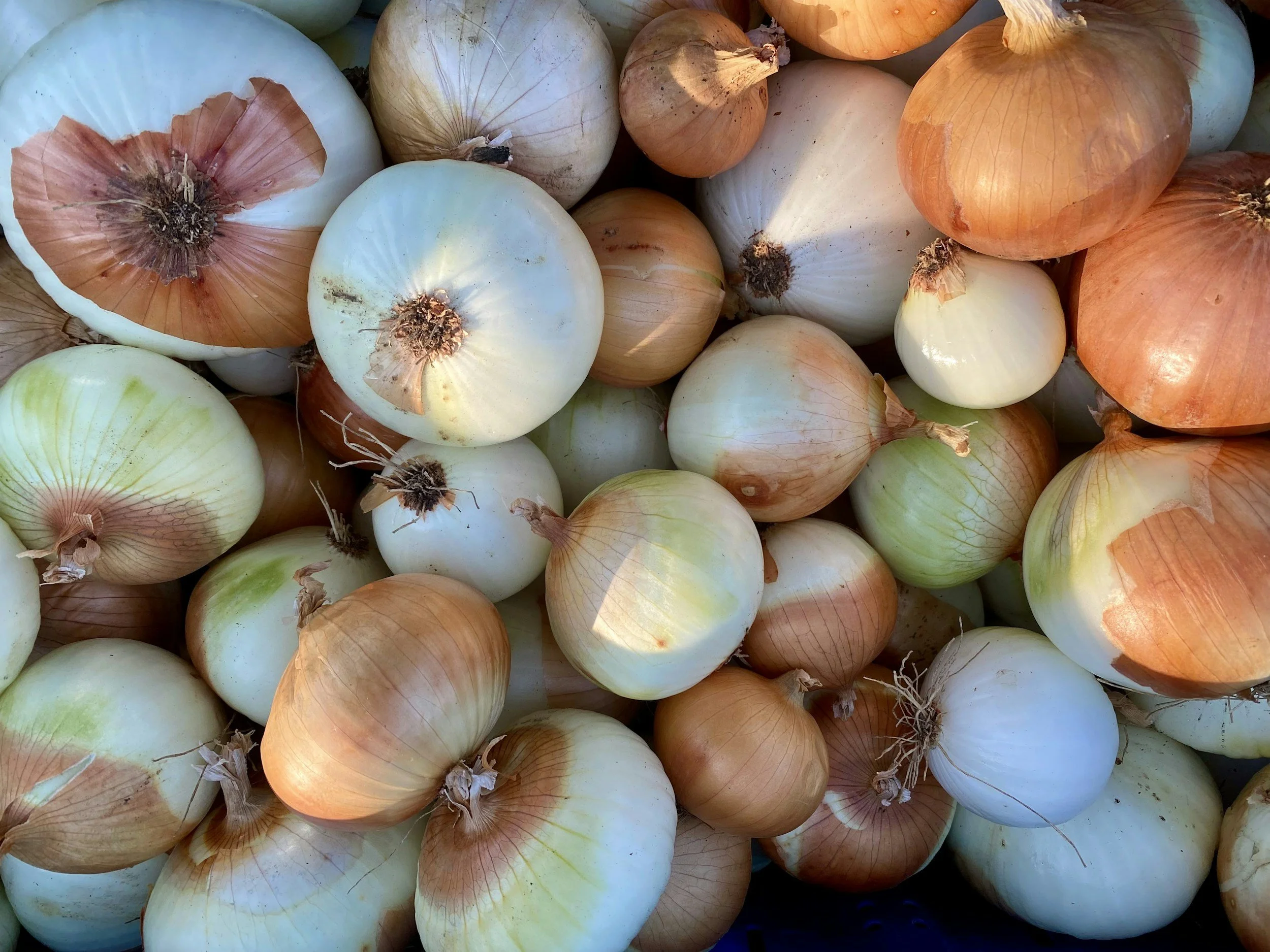 Conflict as an Onion (Part 2): Moving from Positions to Interests