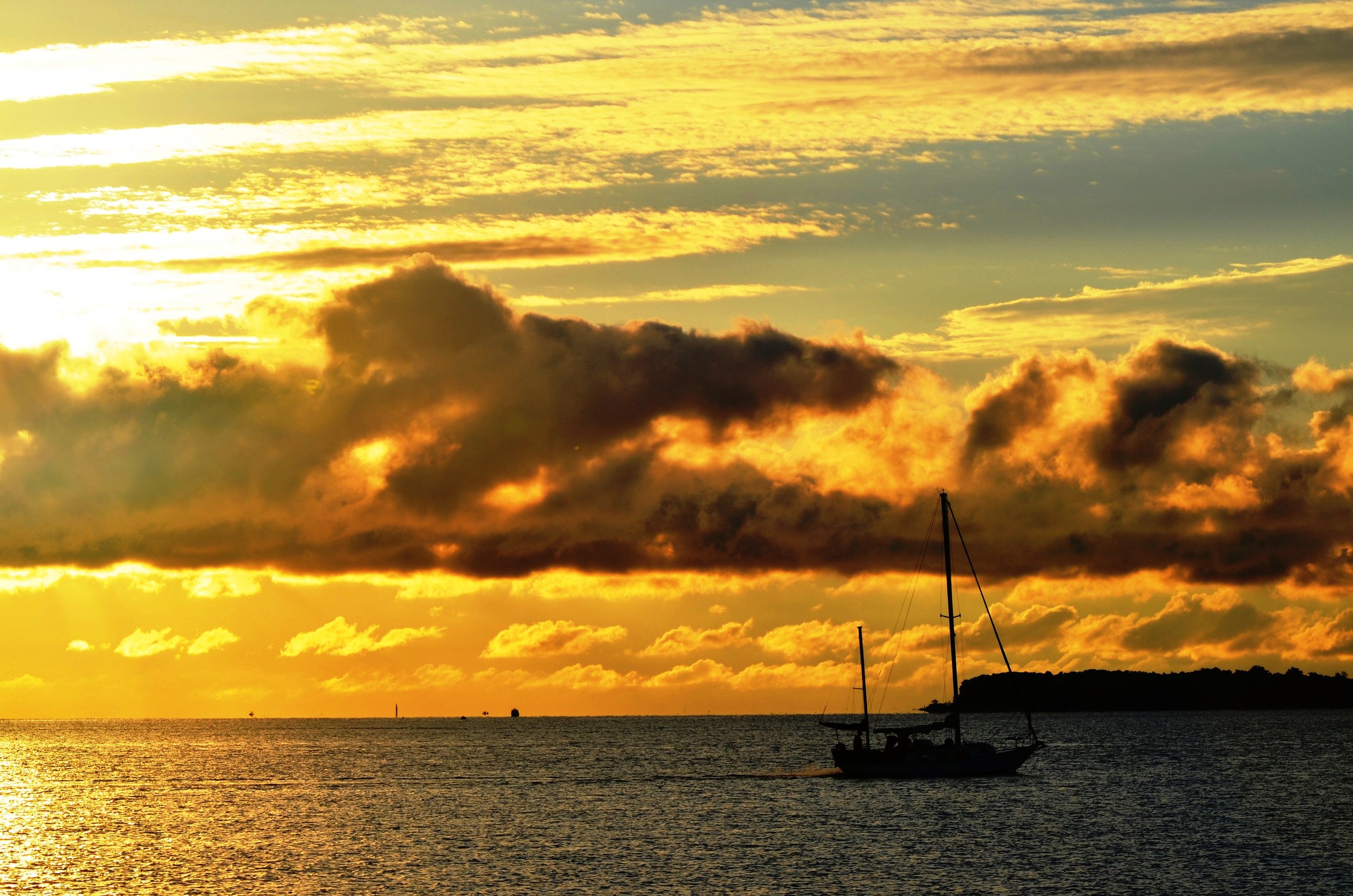 DSC_0969.jpg
