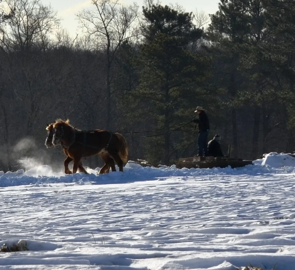 DSC_3804 - Copy - Copy.jpg