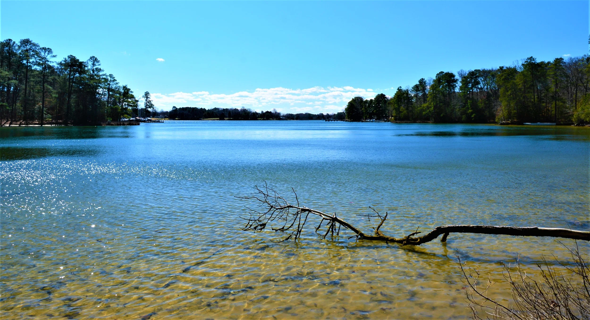 DSC_8692.jpg