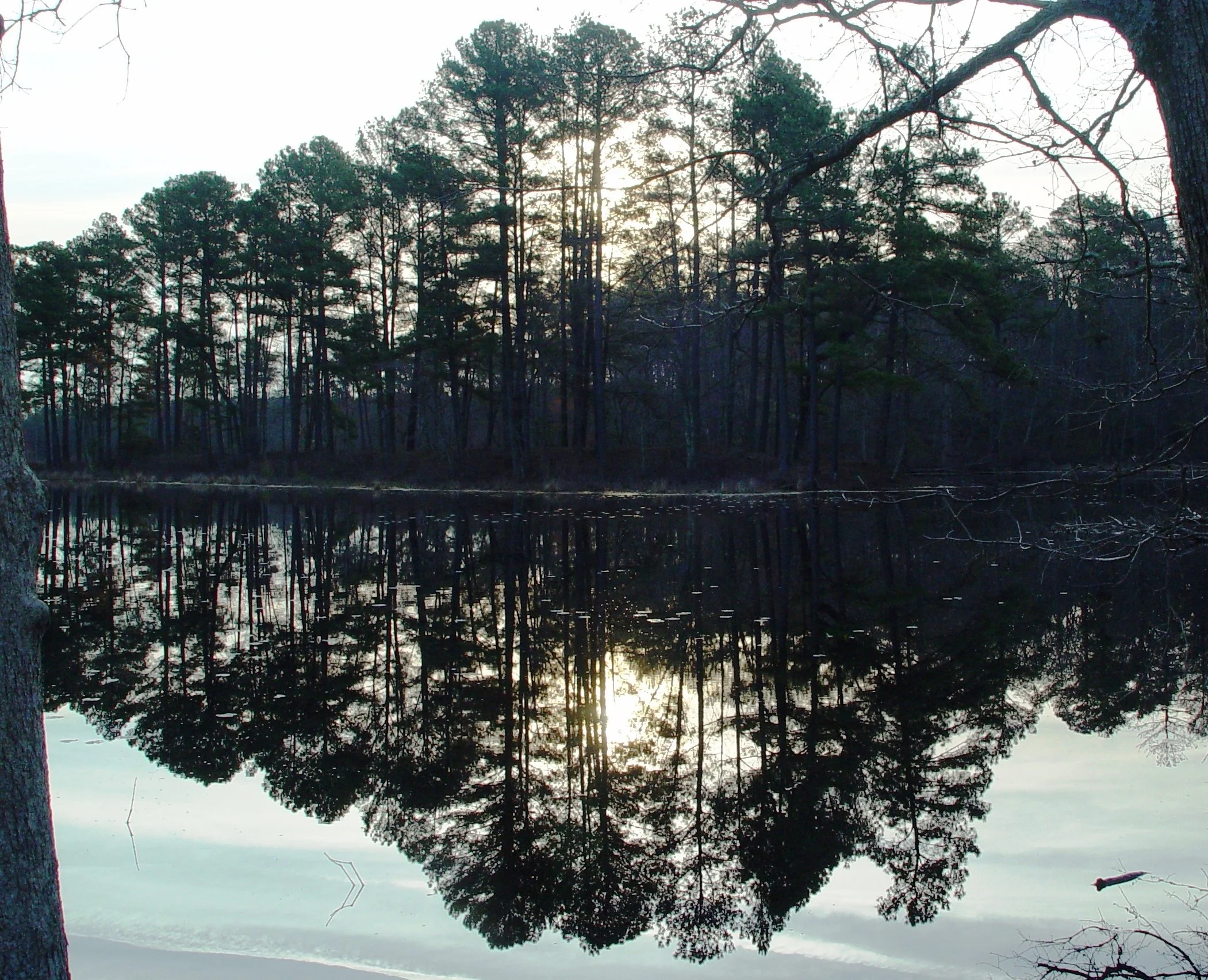 DSC05147 - Copy.jpg
