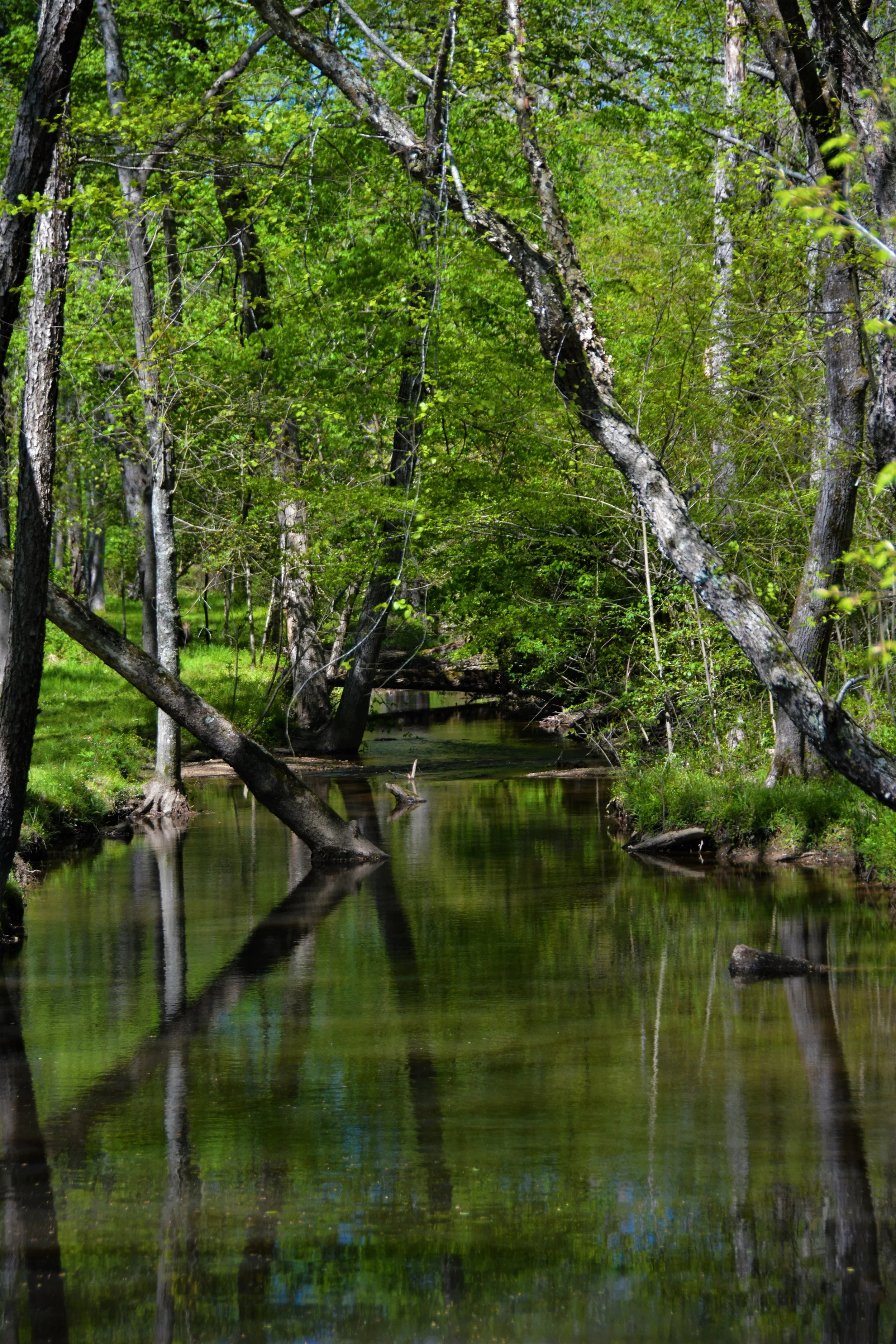 DSC_6901.jpg