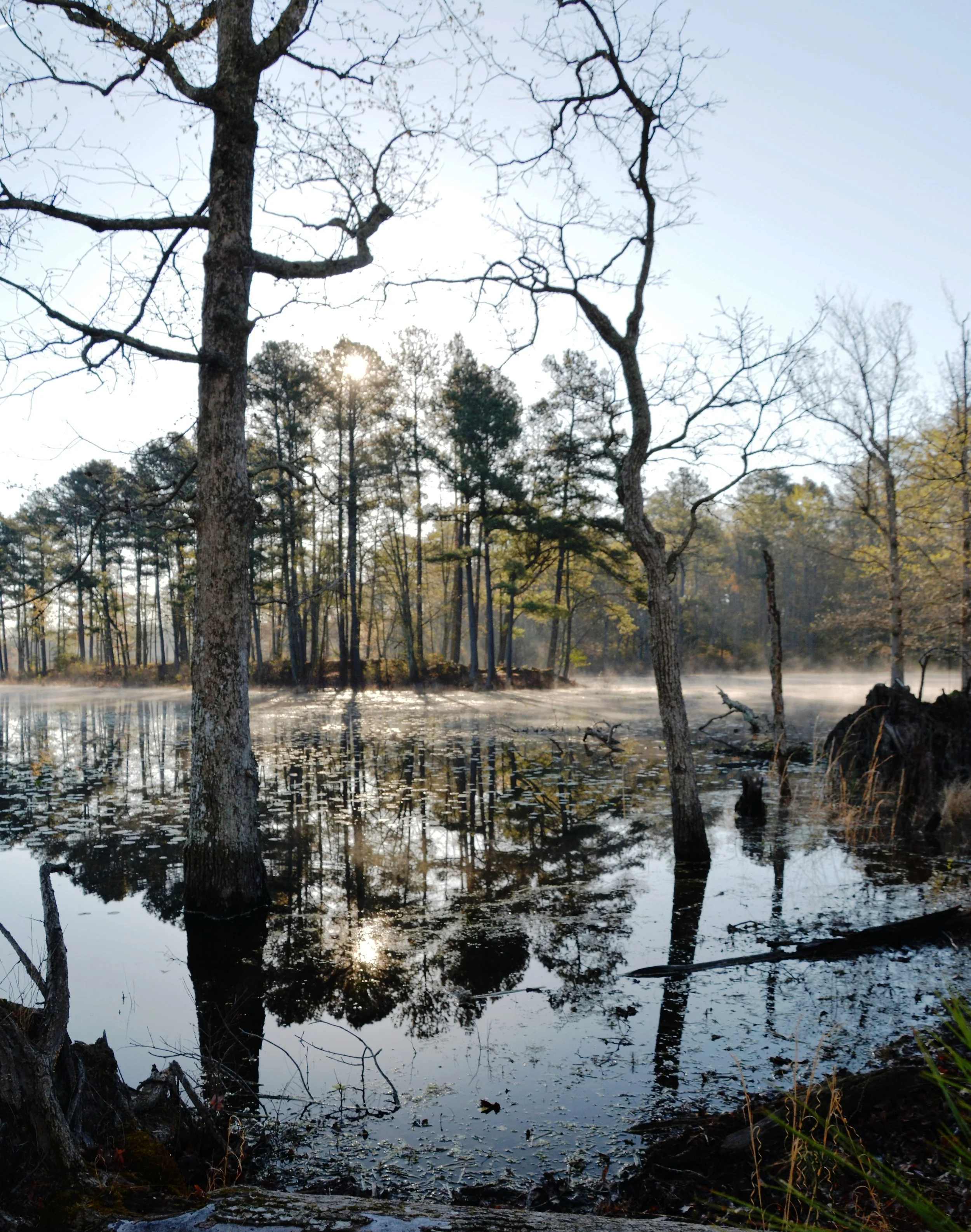 DSC_0009 - Copy.jpg