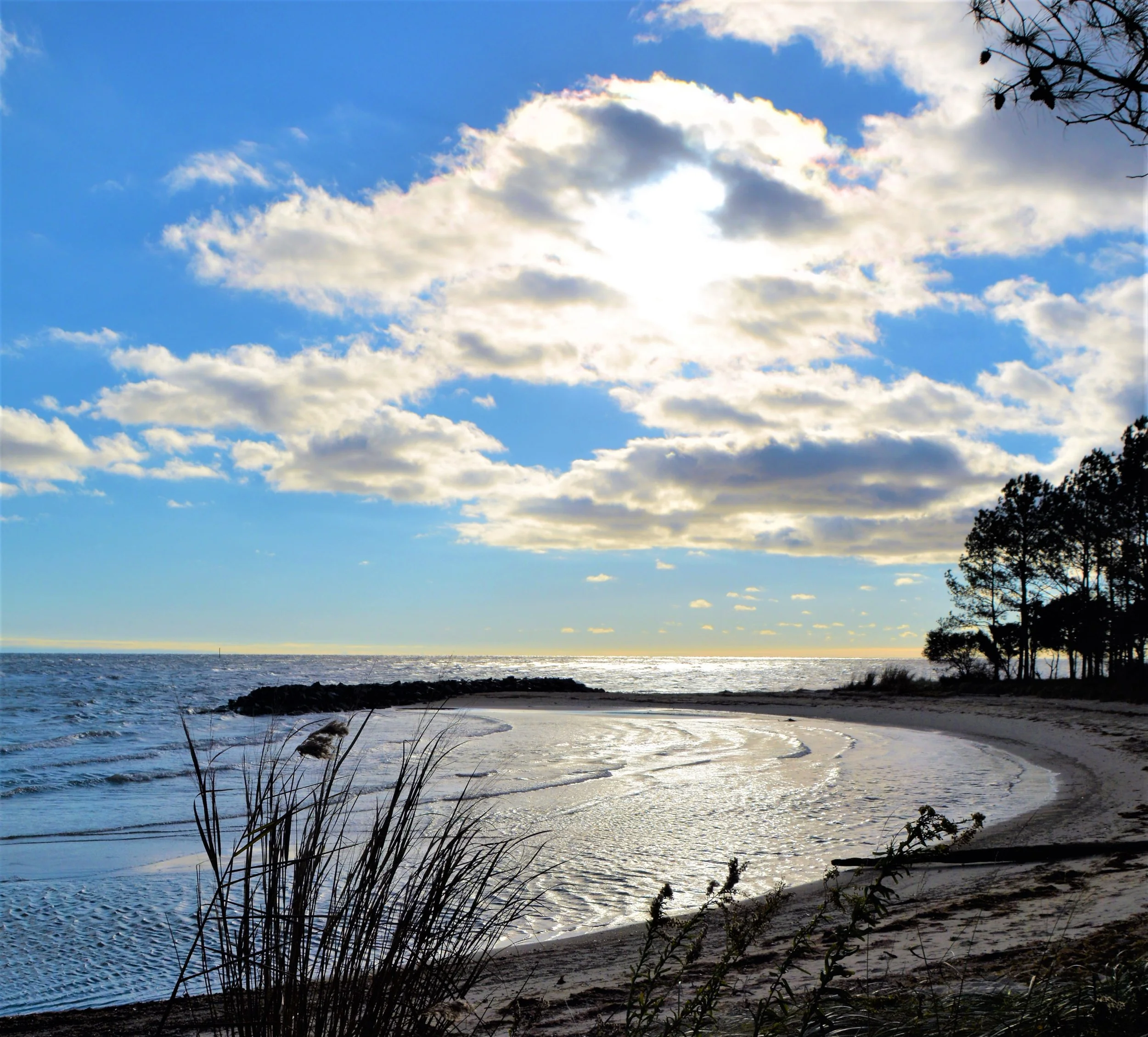 DSC_2860 - Copy.jpg