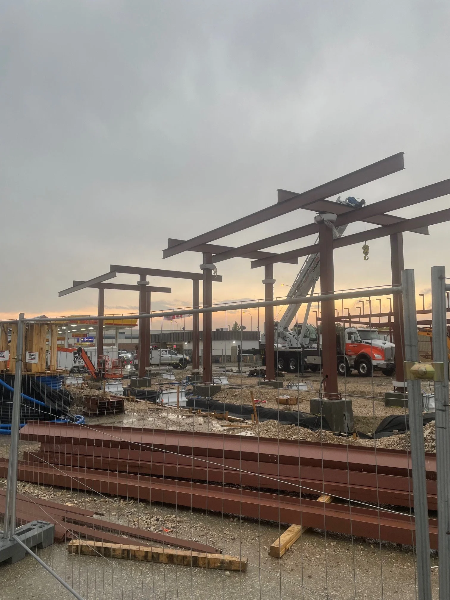 Construction site with steel framework and a crane, overcast sky.