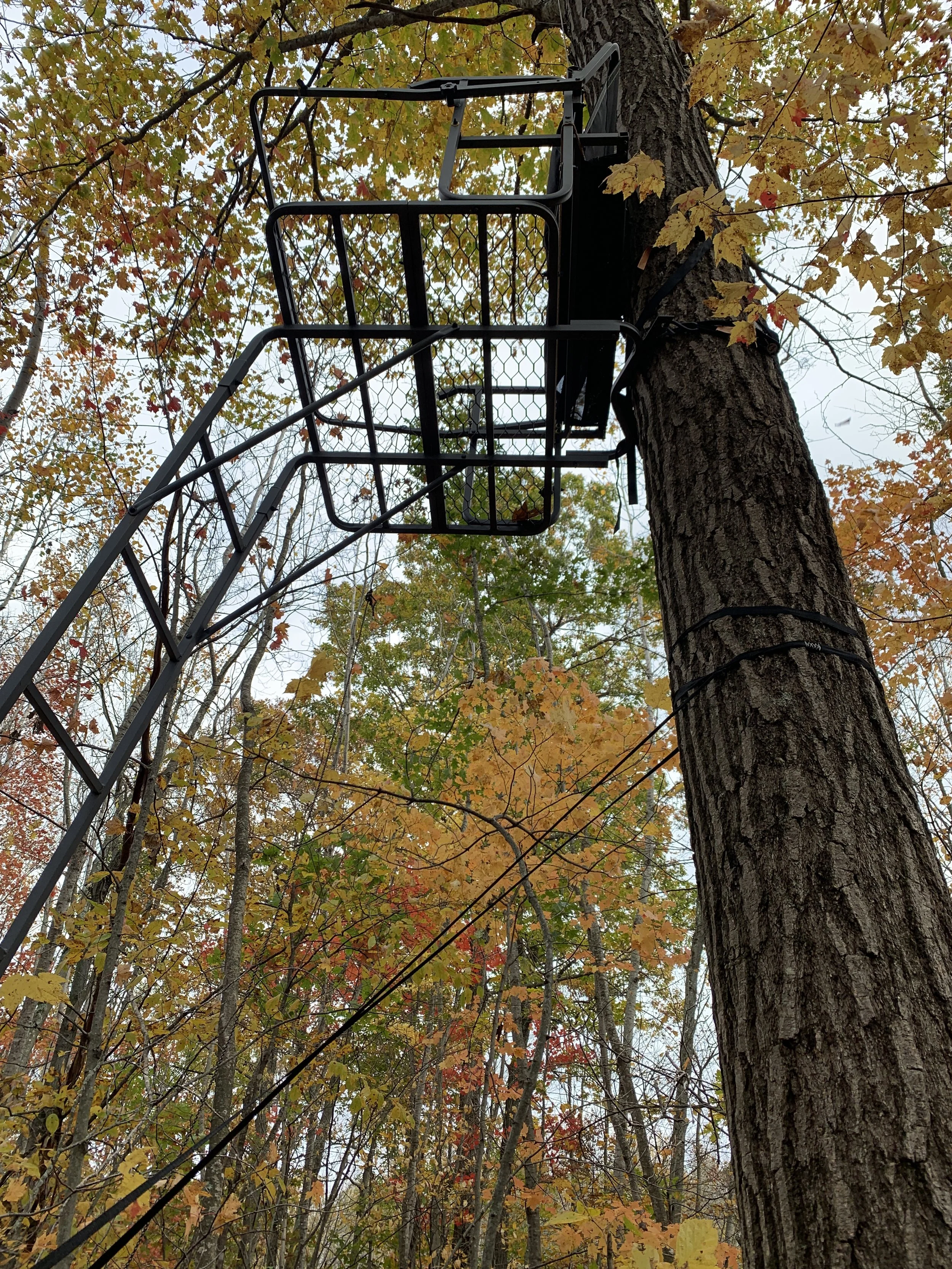 Fall: The Perfect Time to Plan Dirt Work