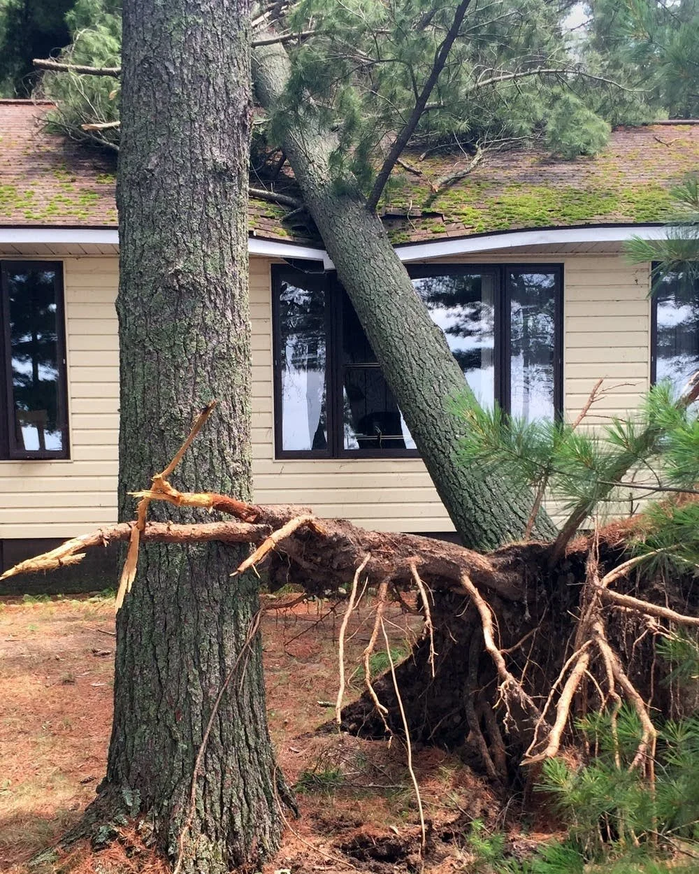Storm Damage: We're Here to Help!