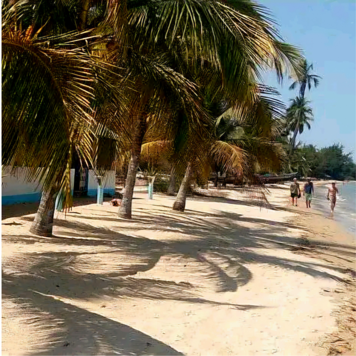 Strand met palmbomen op Carabane in Zuid-Senegal, Casamance.