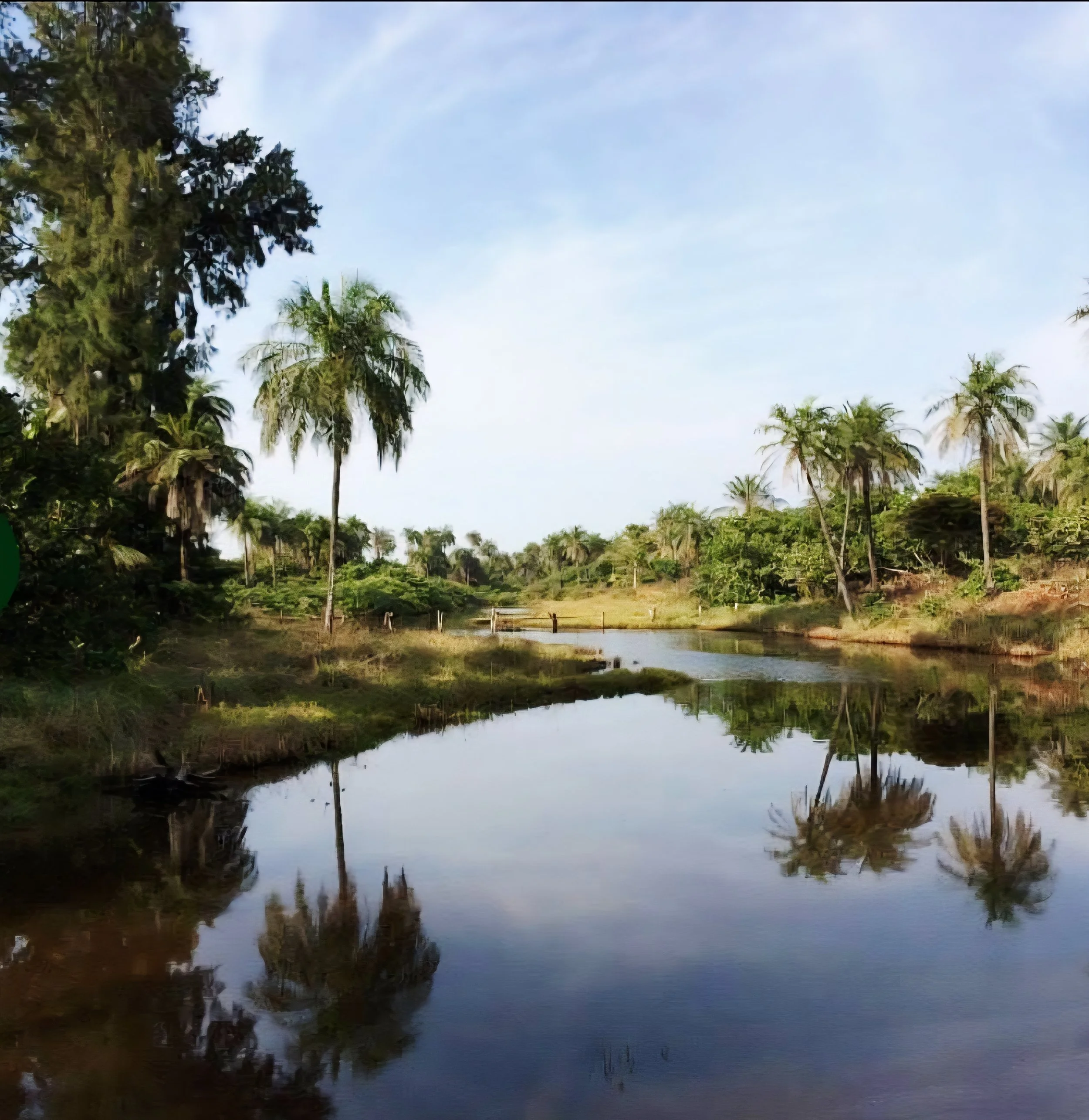 Peaceful river in Casamance, Senegal, surrounded by palm trees and green nature.