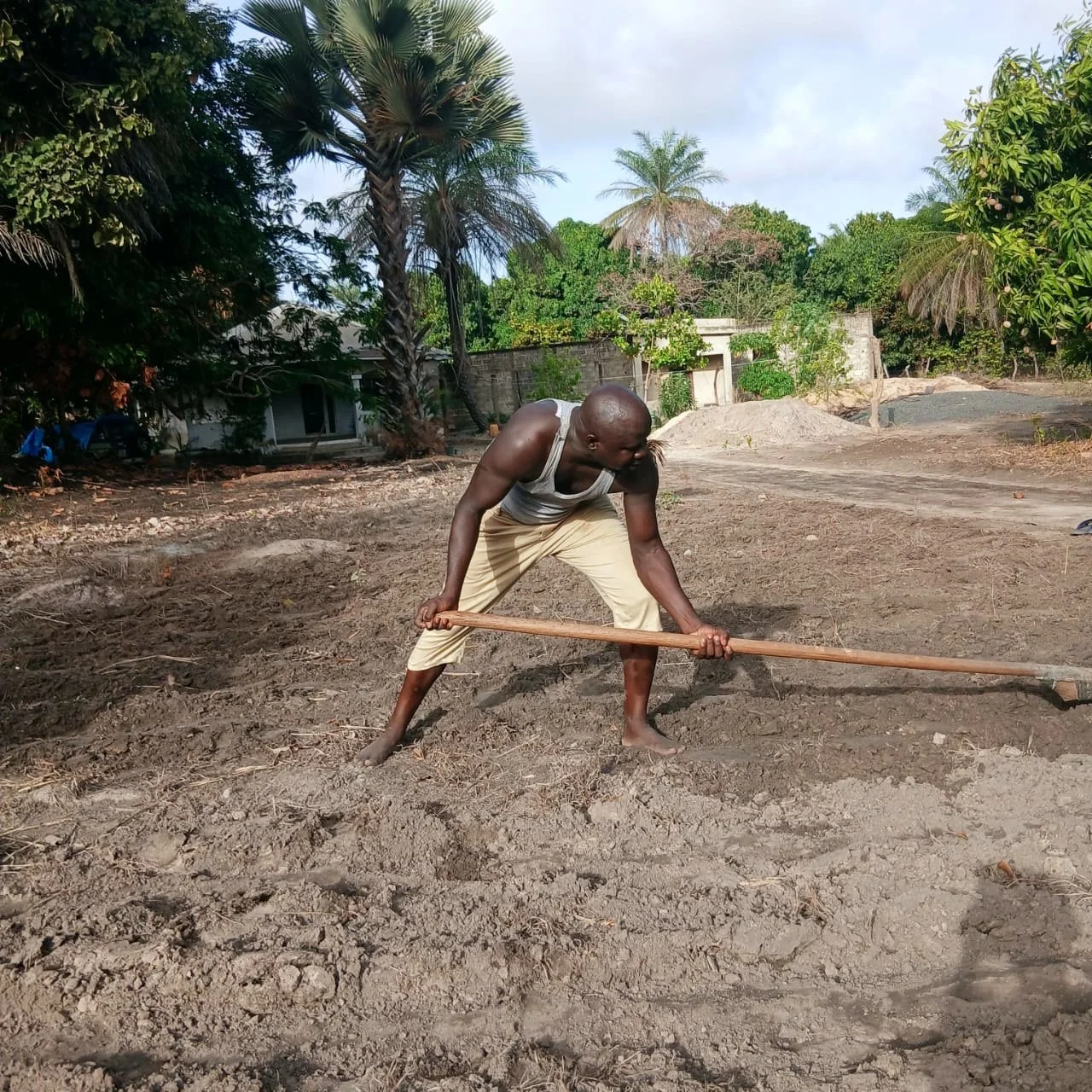 Ploughing, Sowing and Harvesting