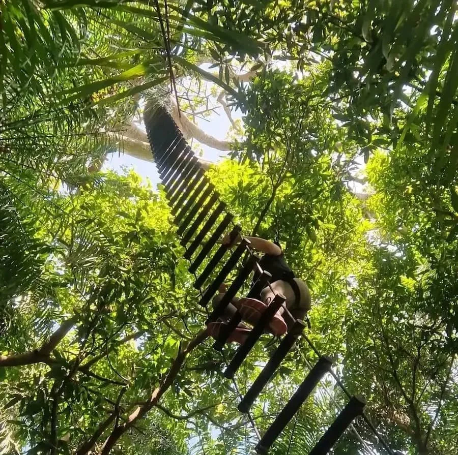 A participant climbing a 25 meter tree