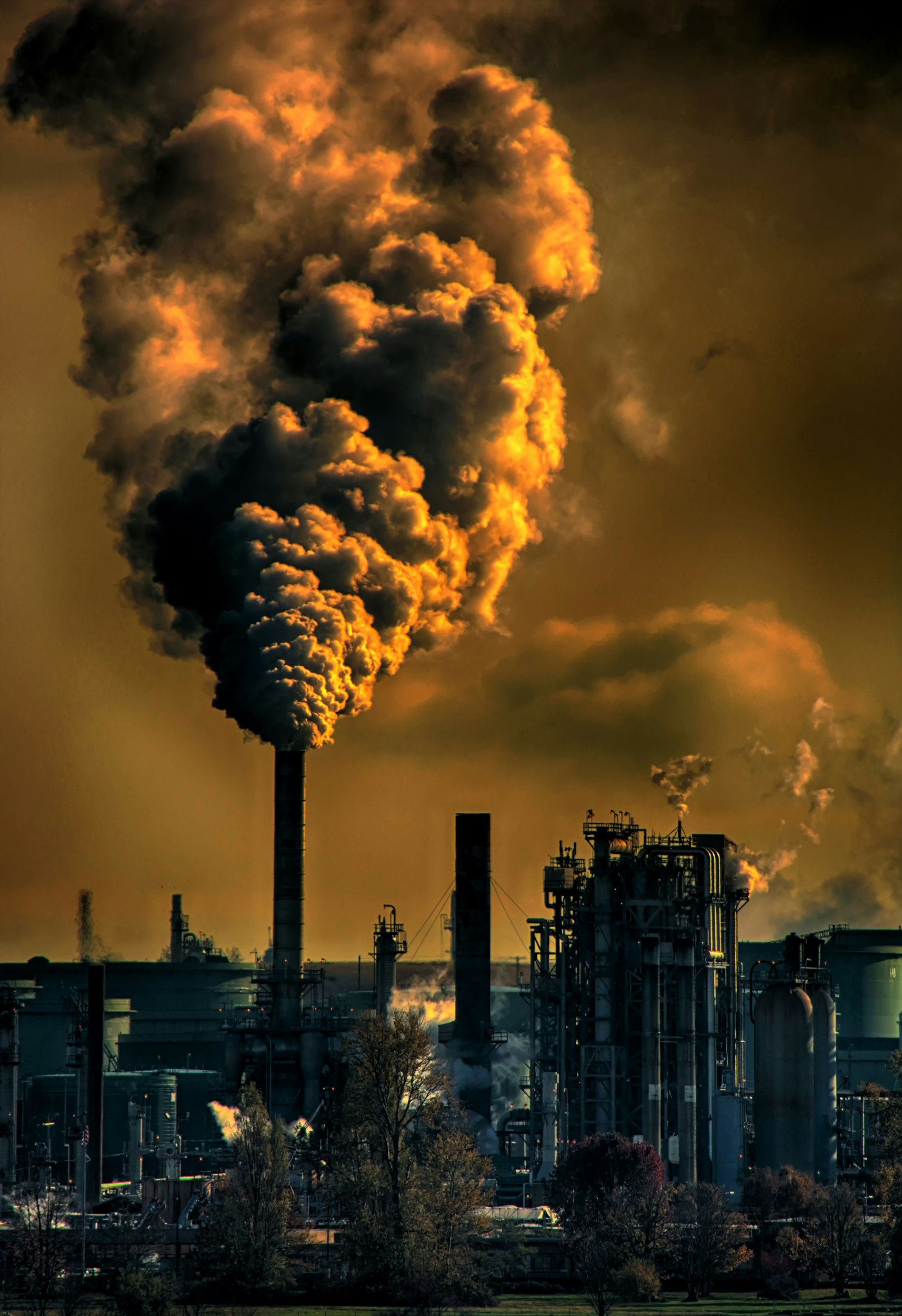 Fossil fuel sponsorships and their hidden influence