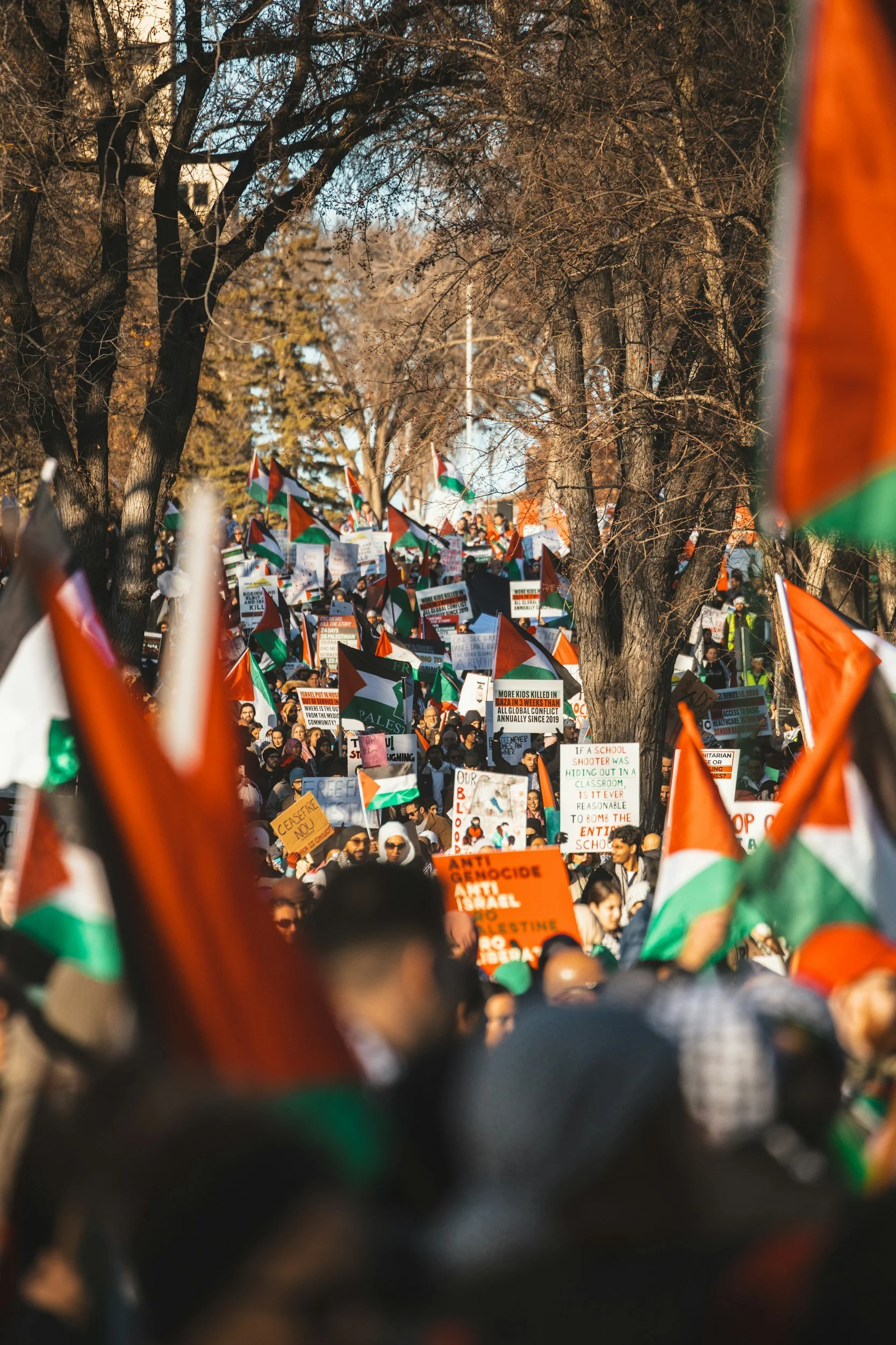 Decolonizzazione la Palestina: doppio standard del diritto internazionale&nbsp;