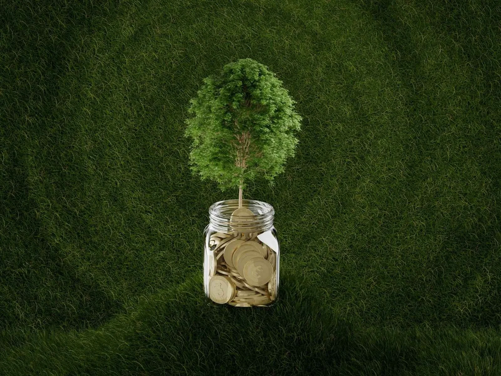 The limits to growth: why green capitalism has failed — Voice Over ...