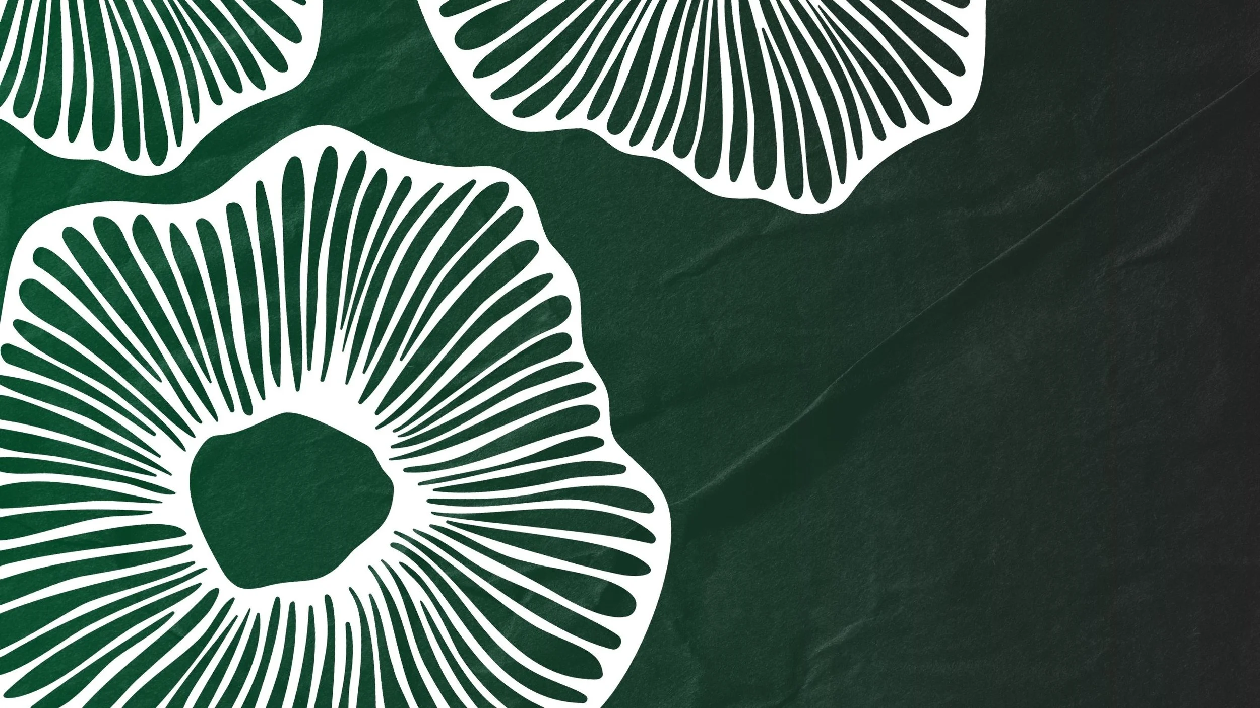 Rooting new imaginaries