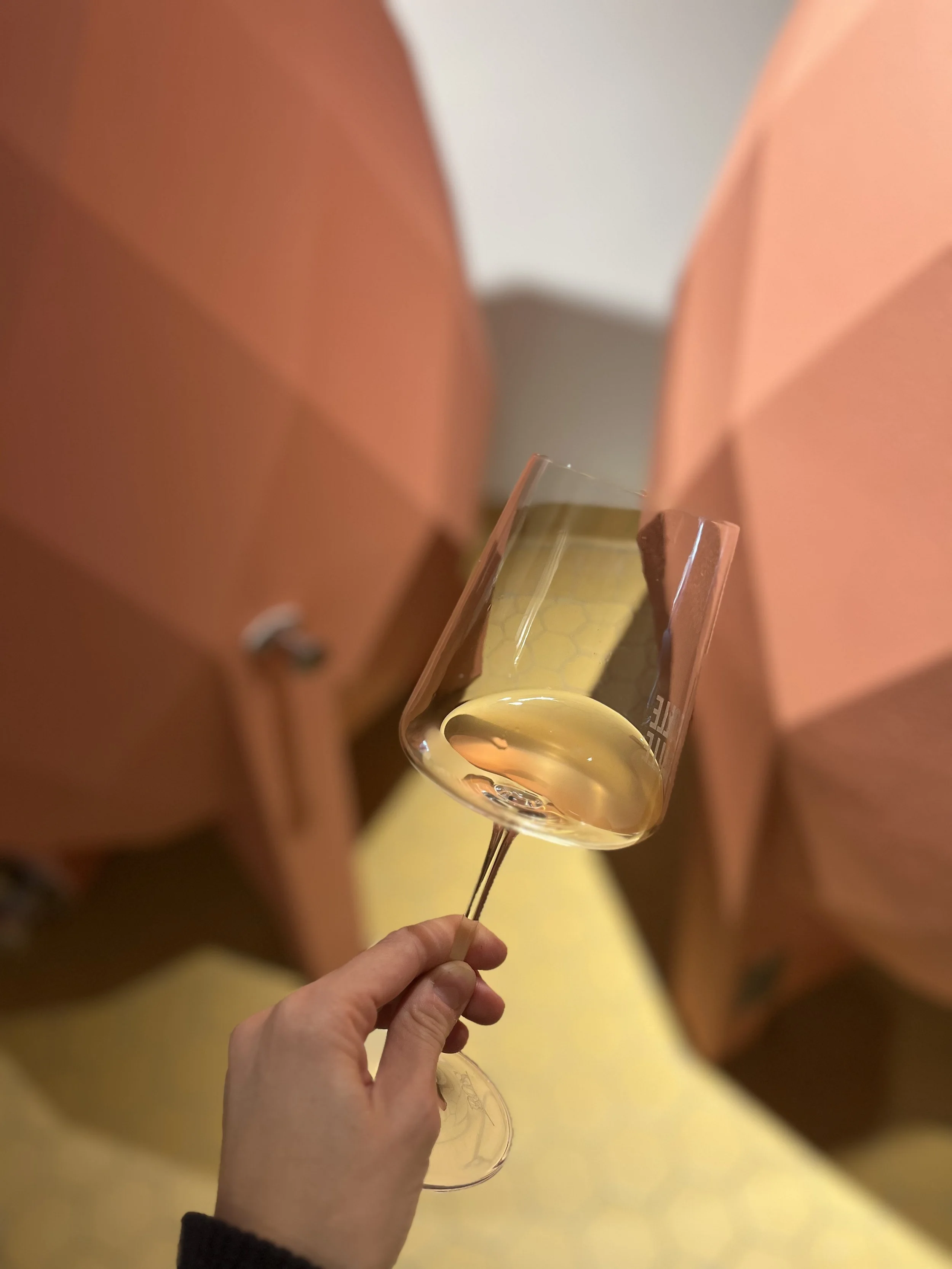 Degustazione 6 Giugno 2026
