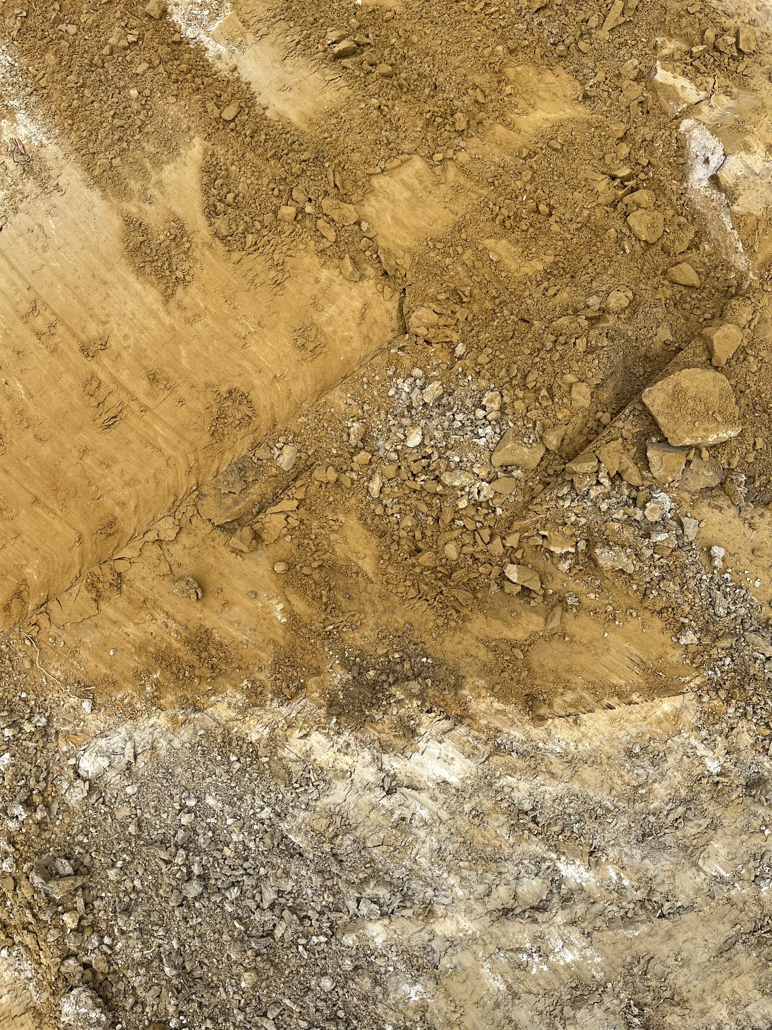 Matrice di suolo sabbiosa a Granarola