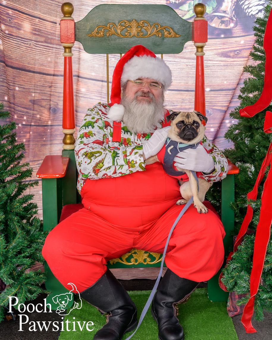 Santa Paws Photos