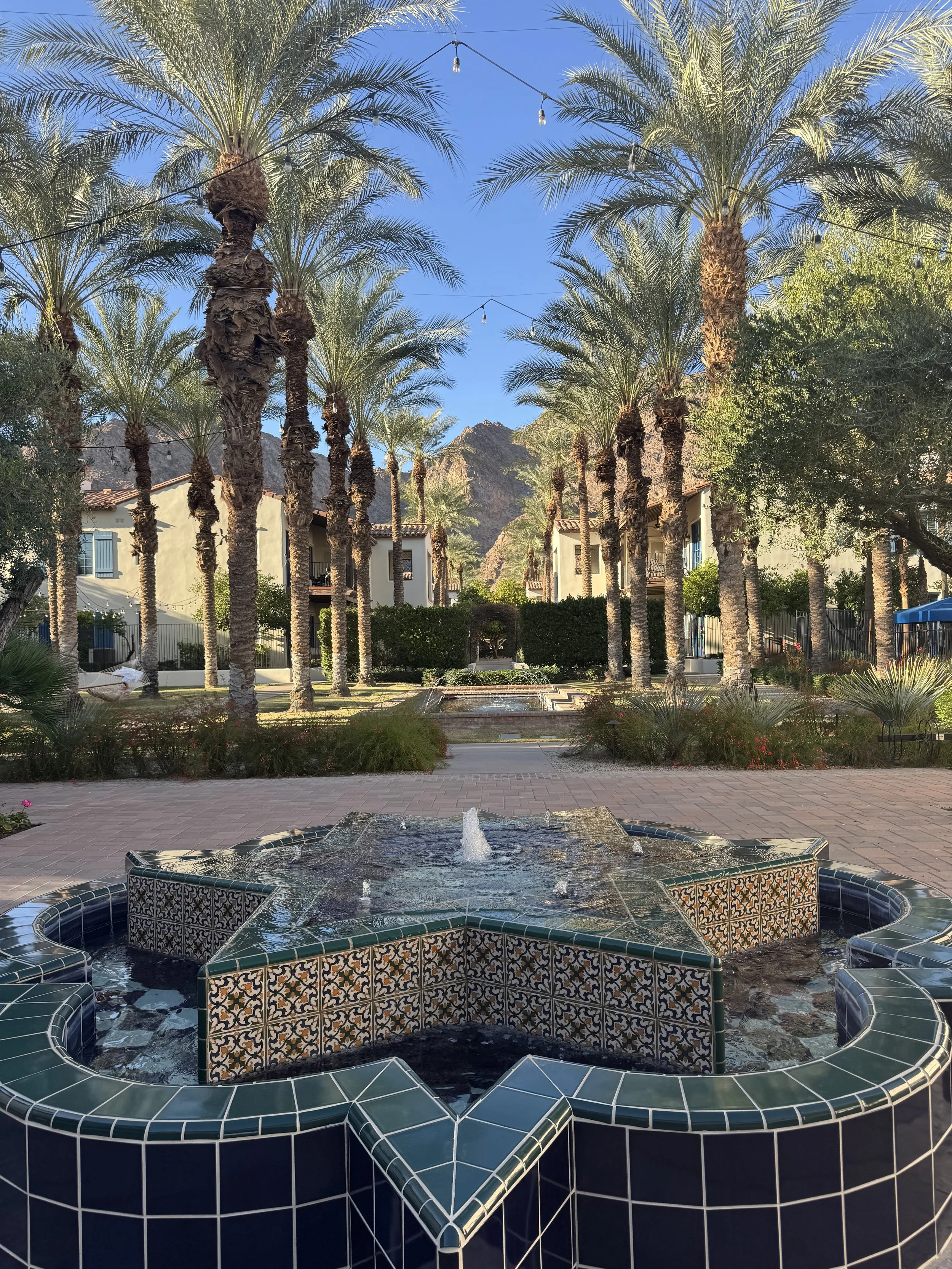 IMG_9255.jpeg