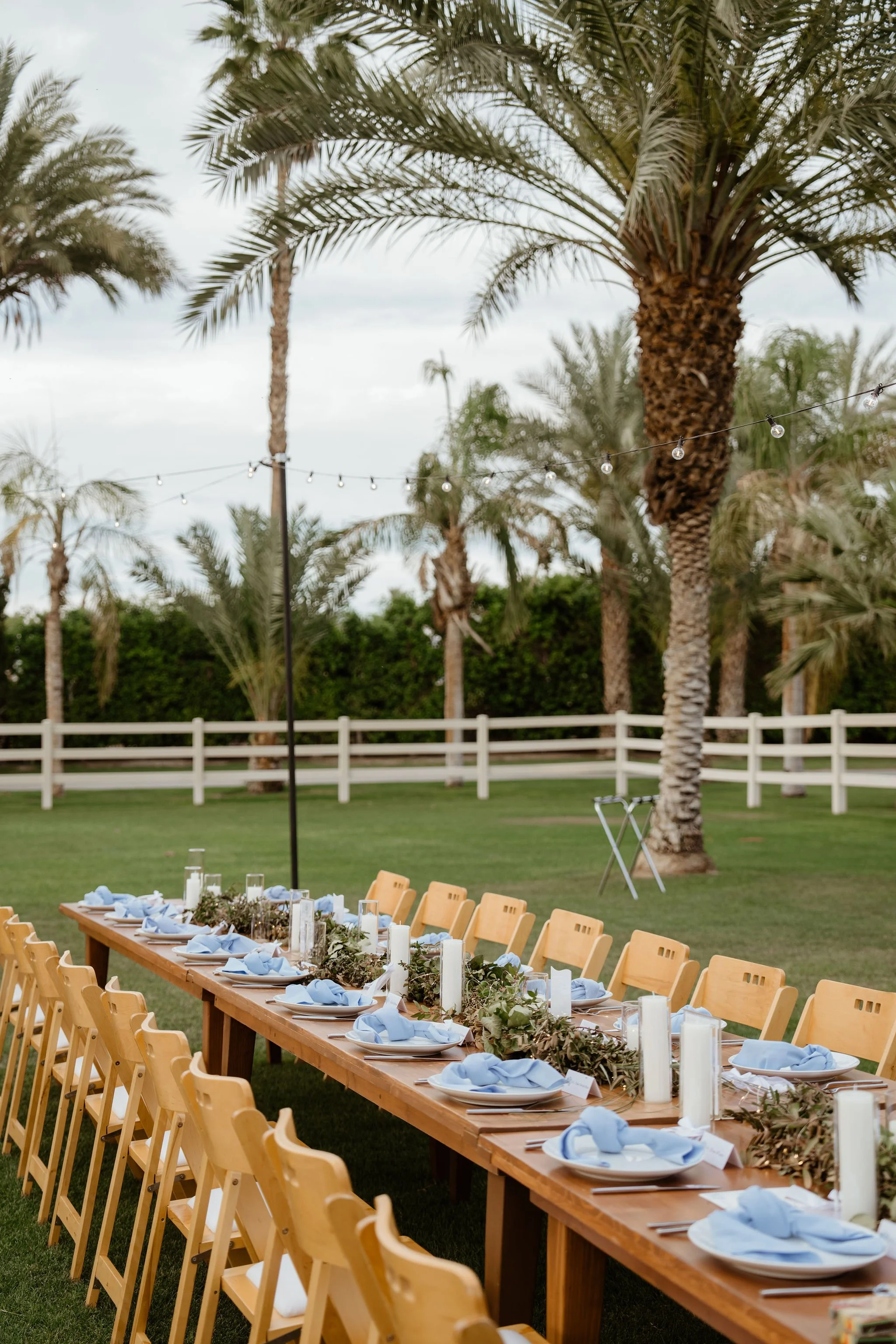 highlights-659.jpg