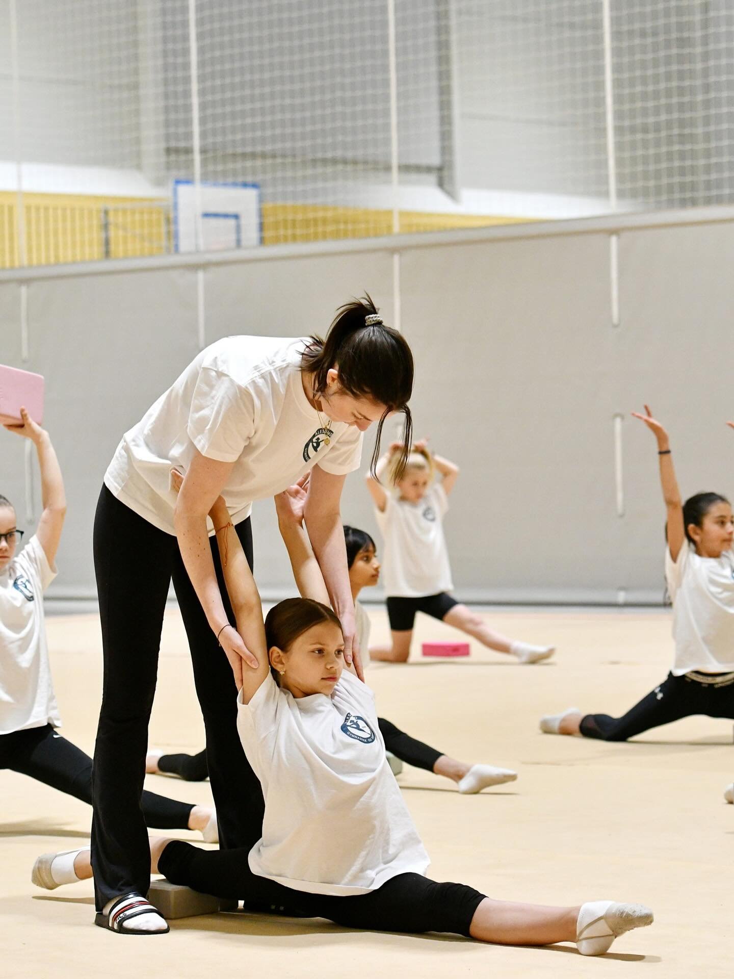 VI S&Oslash;KER ADMINISTRATIV LEDER I 50 % STILLING!
Vil du v&aelig;re med &aring; bygge en klubb i sterk vekst &ndash; og bidra til &aring; skape idrettsglede, mestring og fellesskap for barn og unge i &Aring;lesund? 💫

&Aring;lesund Gymnastikk og 