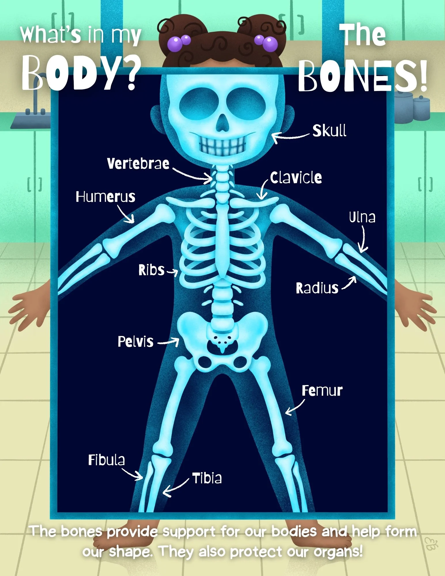 "What's in my Body? The Bones!" (2025)