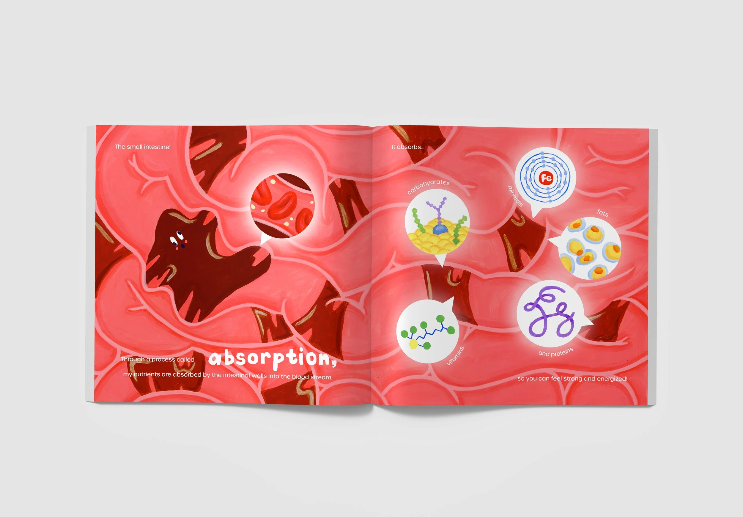 Sample spread from "The Great Digestive Journey" (2026)