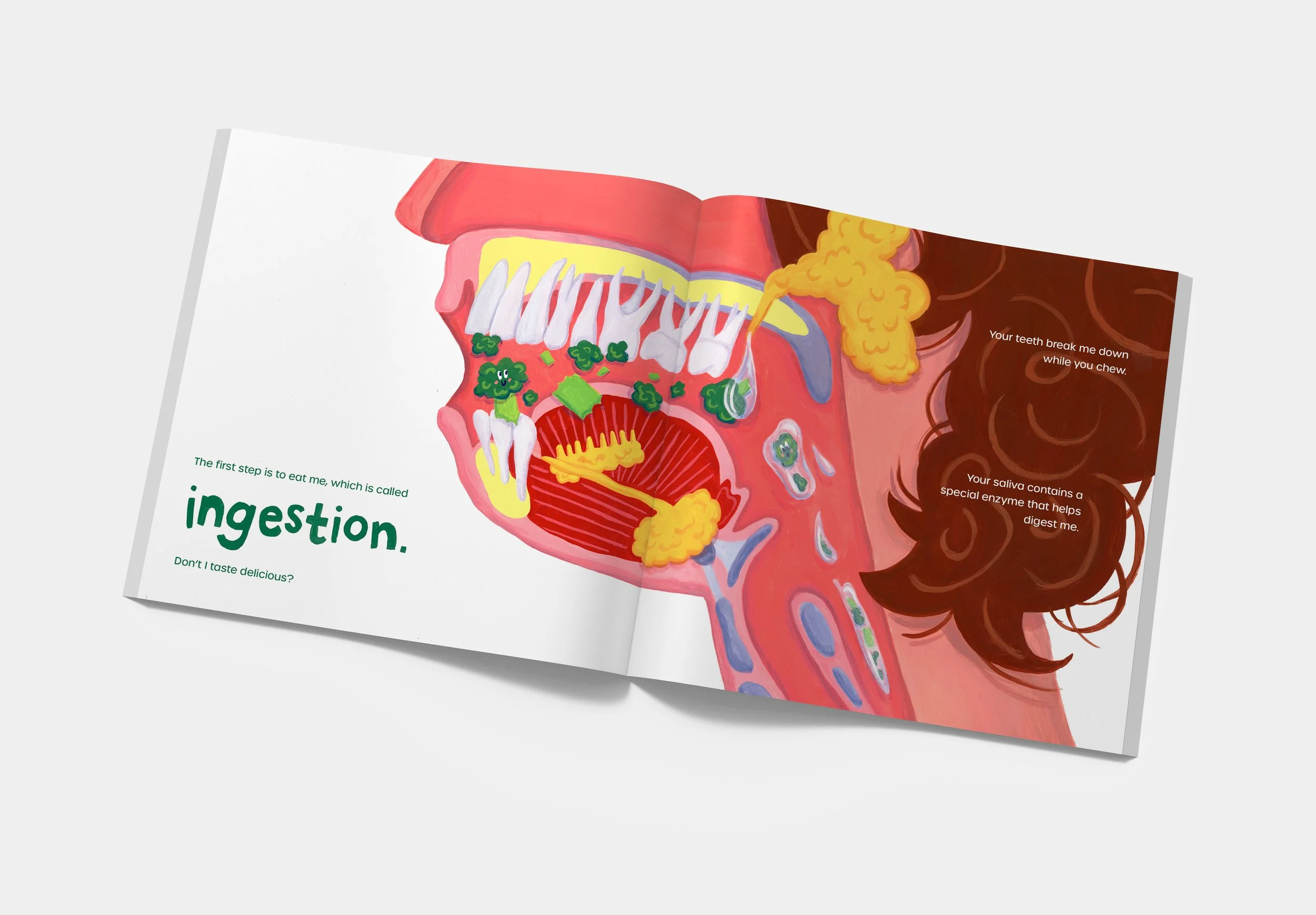 Sample spread from "The Great Digestive Journey" (2026)