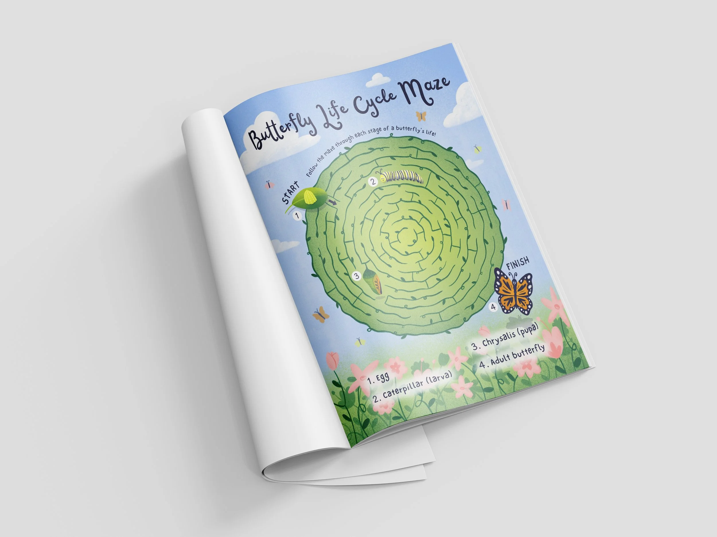 "Maze Magazine Concept" (2026)