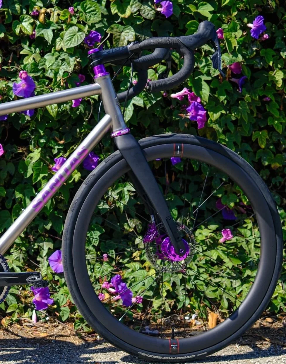 Sanitas Cycles Style All-road with custom anodized finish and matching Chris King components