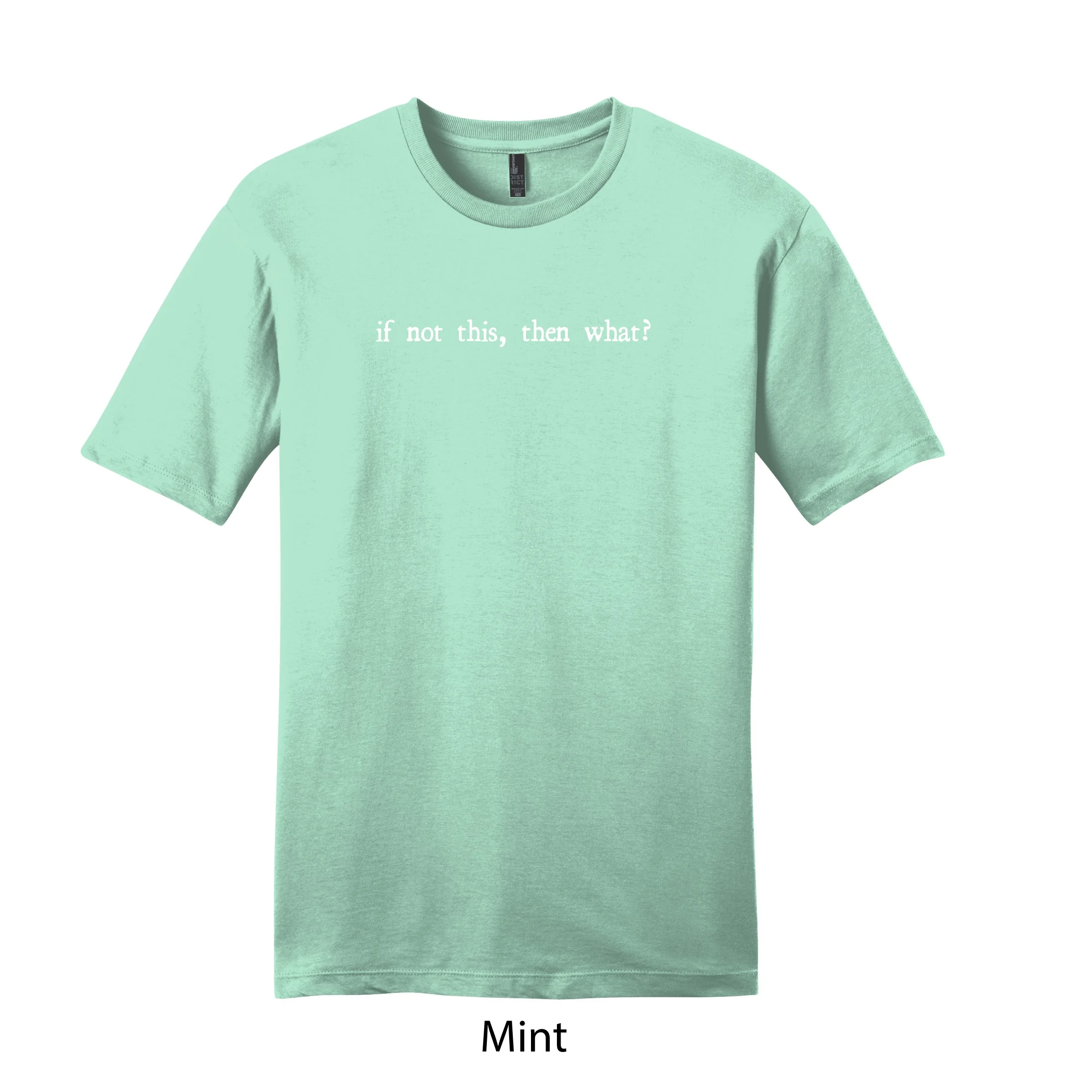 SSTee_Mint_IFNOTTHIS.jpg