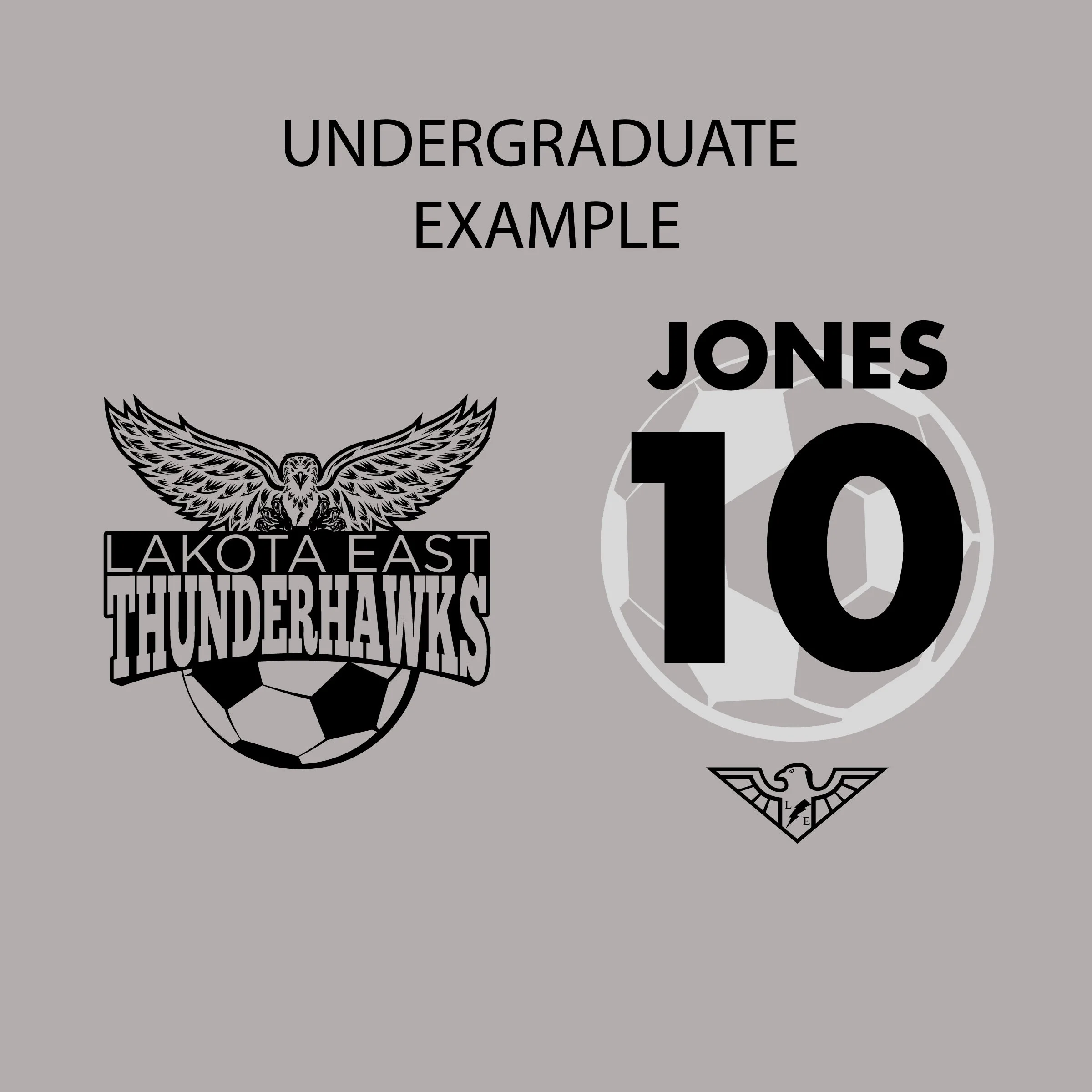 UNDERGRADUATE-EXAMPLE.jpg