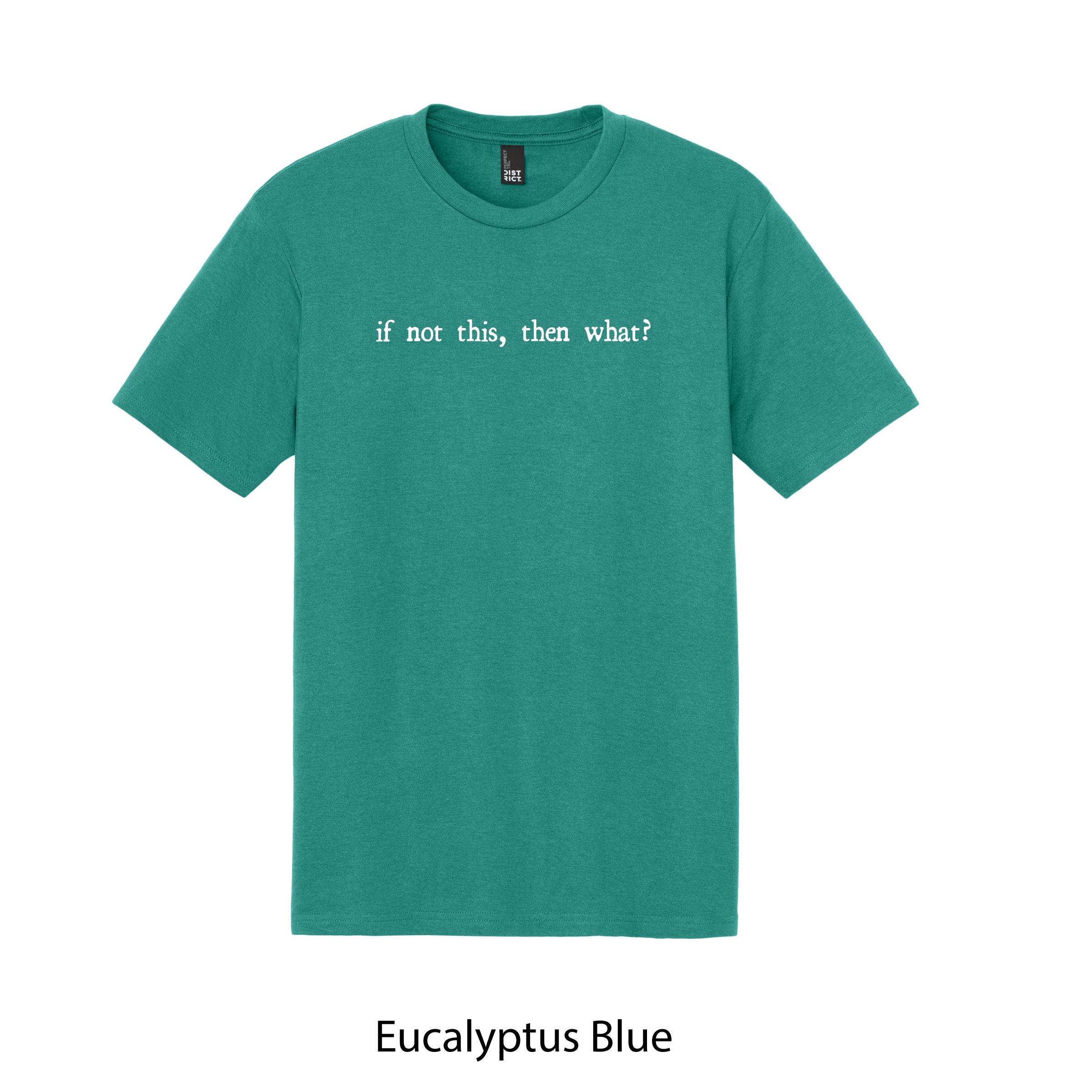 SSTee_EucBlue_IFNOTTHIS.jpg