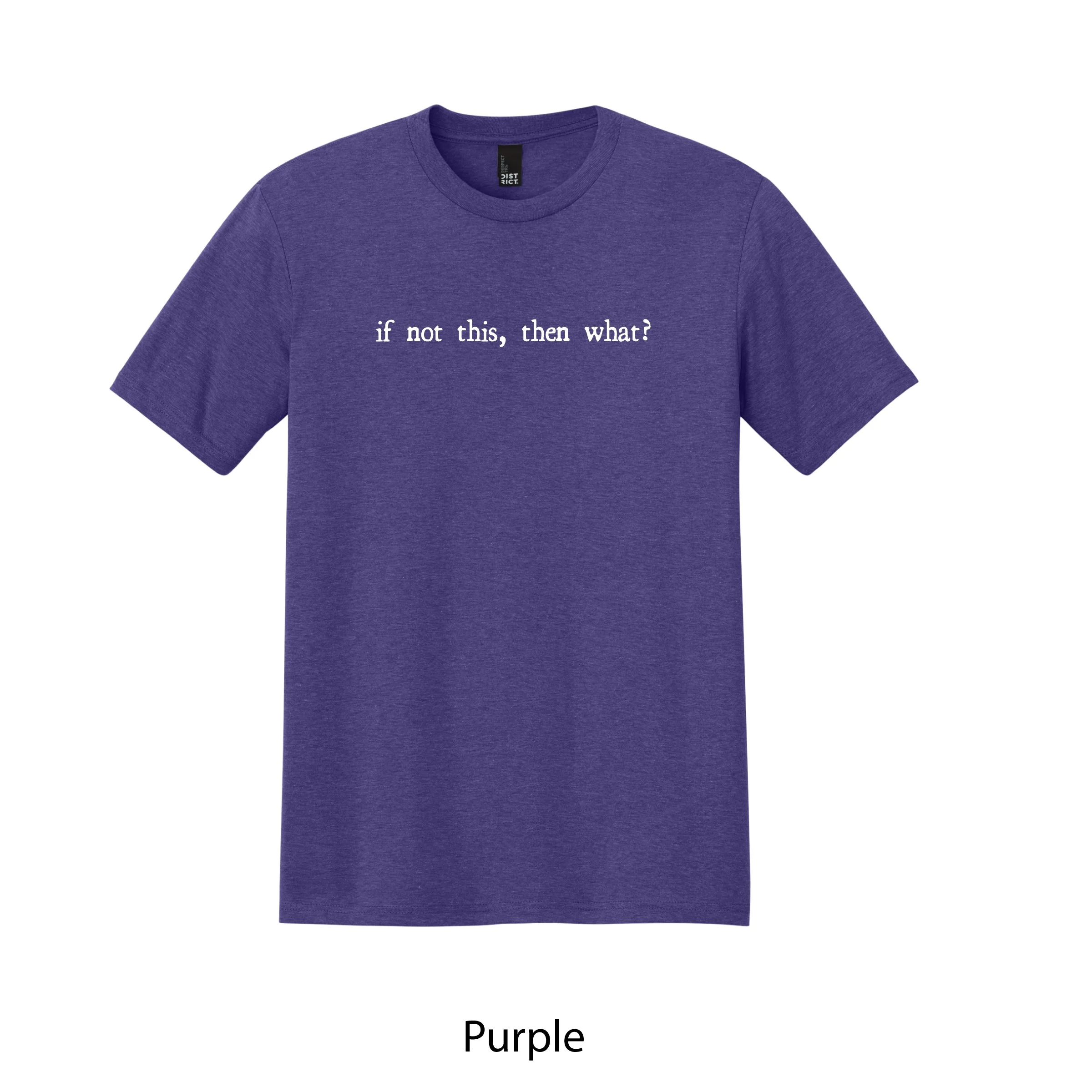 SSTee_Purple_IFNOTTHIS.jpg