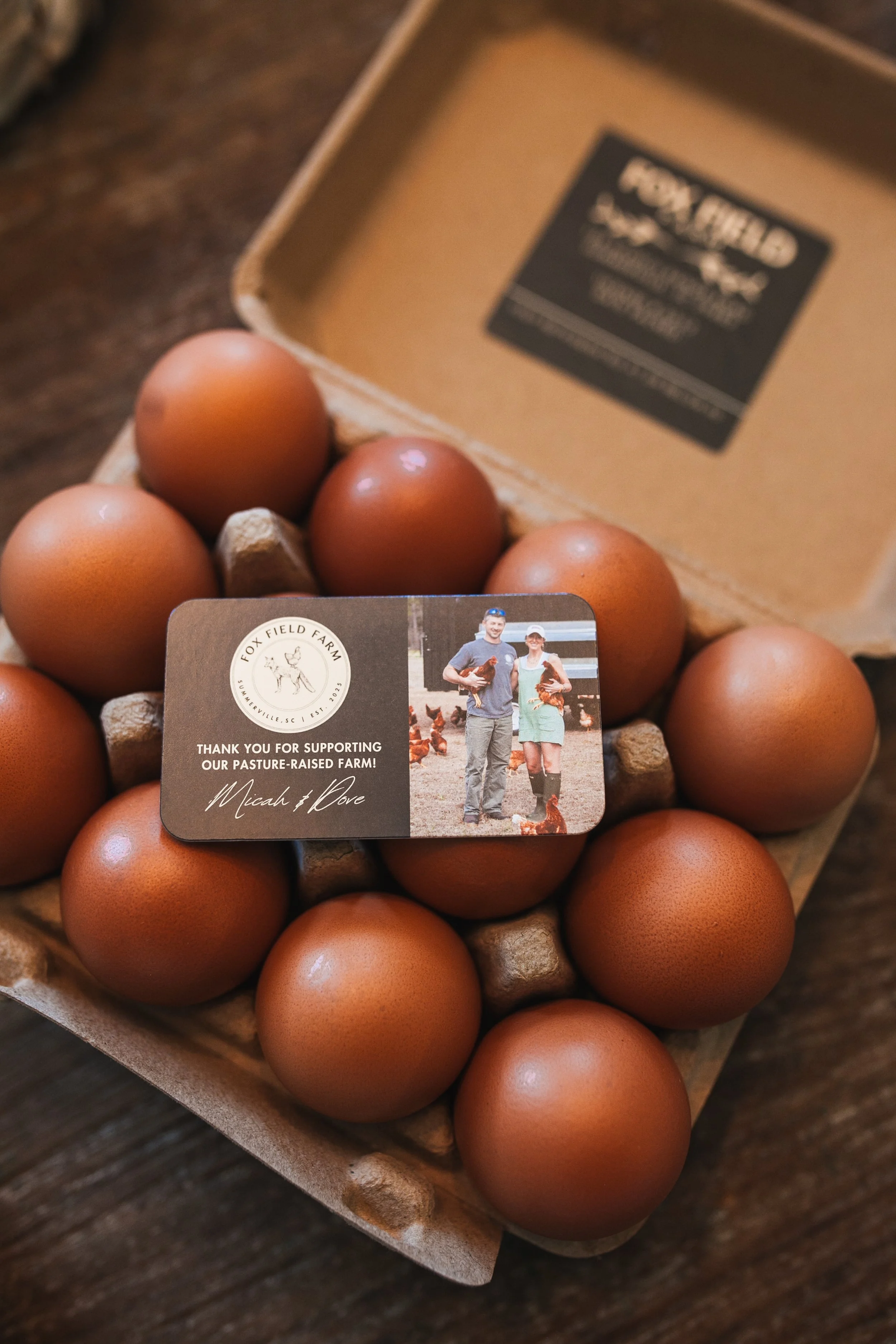 Large Pasture-Raised Eggs (One Dozen)- Summerville Market Pick-Up June 13