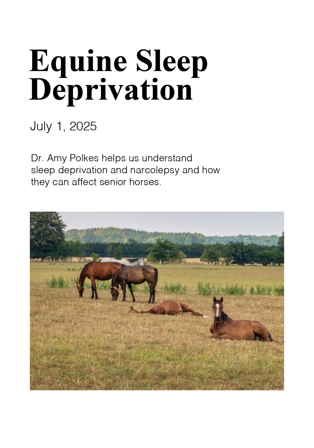 Equine Sllep Deprivation.png