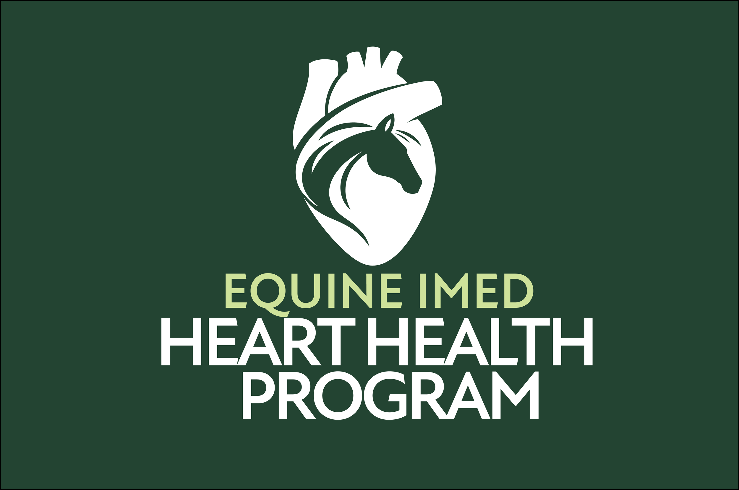 Equine Wellness: Preventative Care