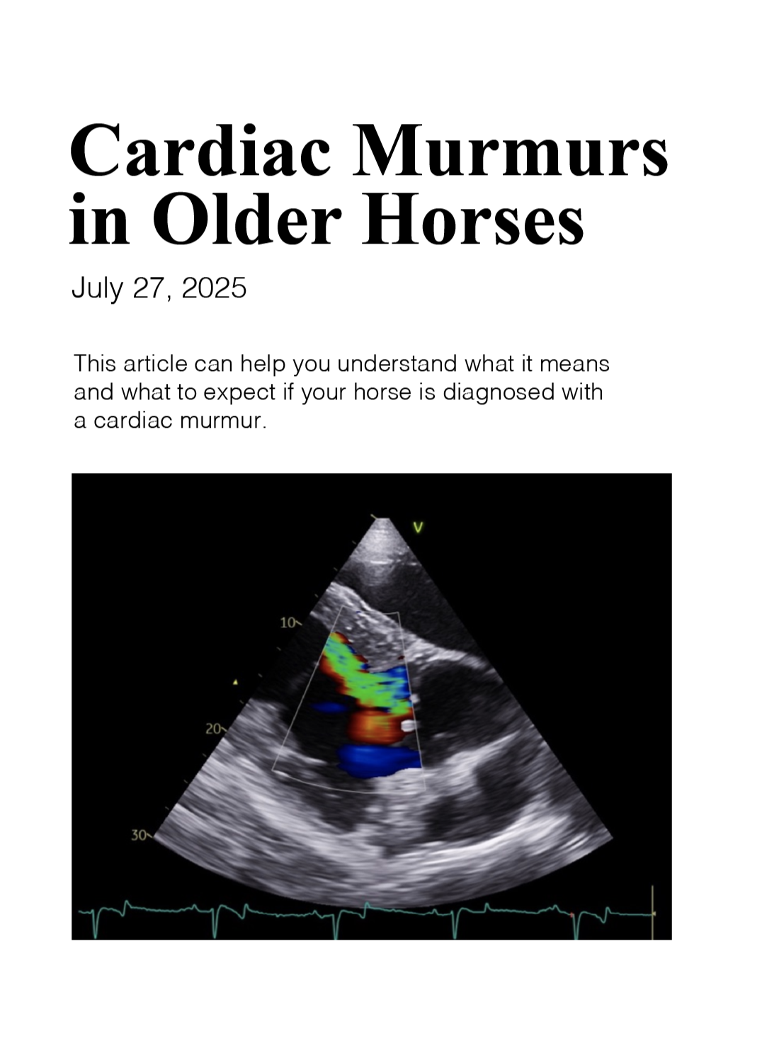 Cardiac Murmurs in Older Horses.png