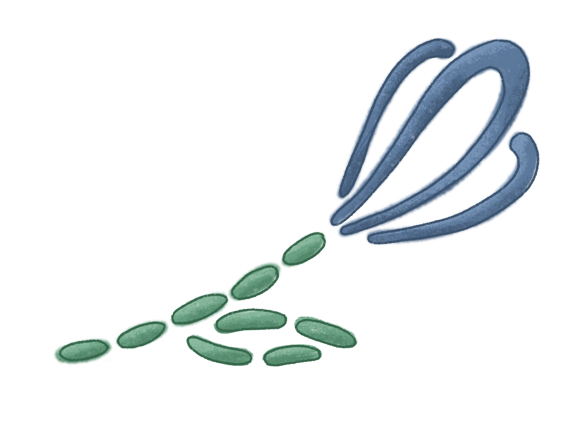 A flower embroidered with blue and green thread.