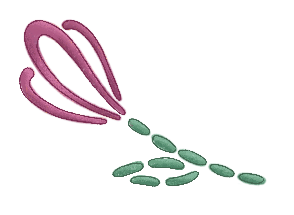 A flower embroidered with pink and green thread.