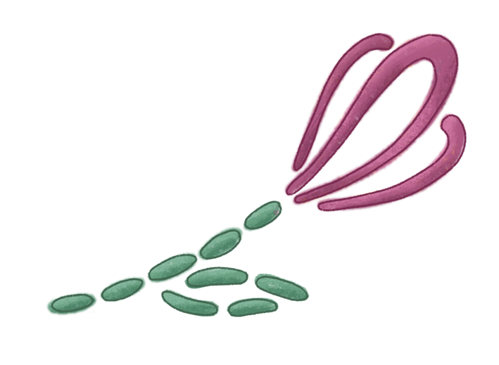 A flower embroidered using pink and green thread.